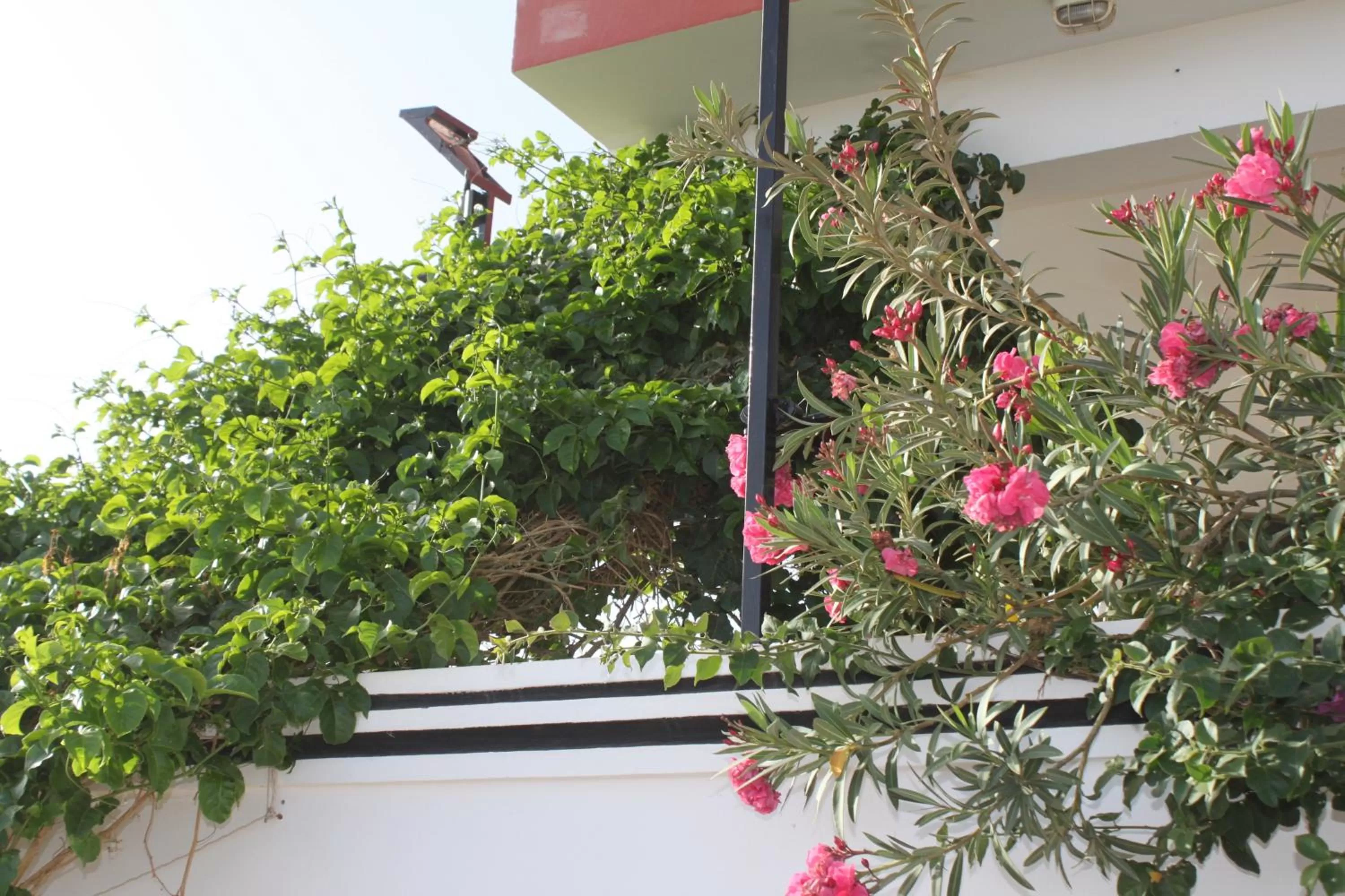 Day in Yria Residencial