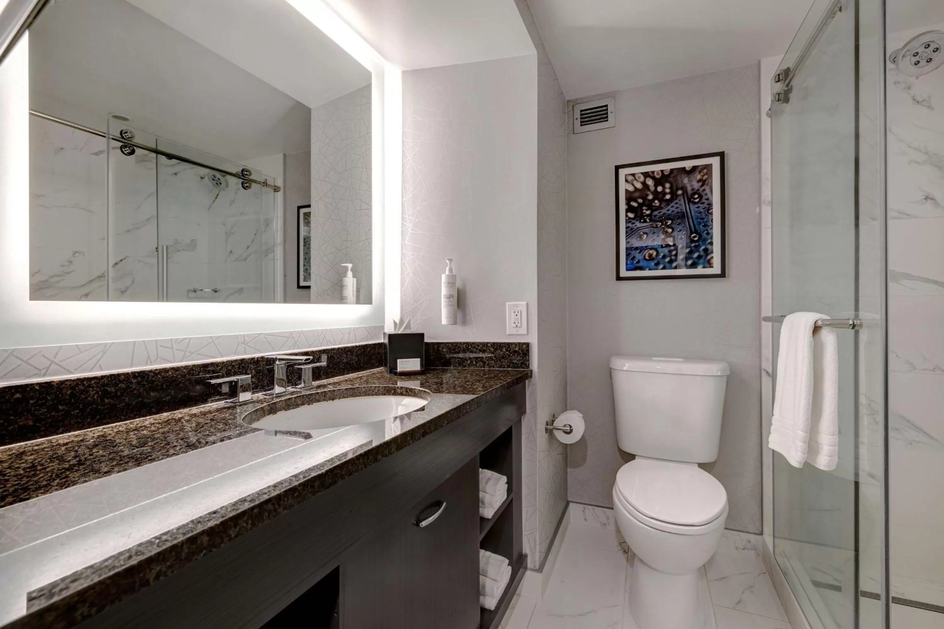 Shower in Embassy Suites by Hilton Santa Clara Silicon Valley