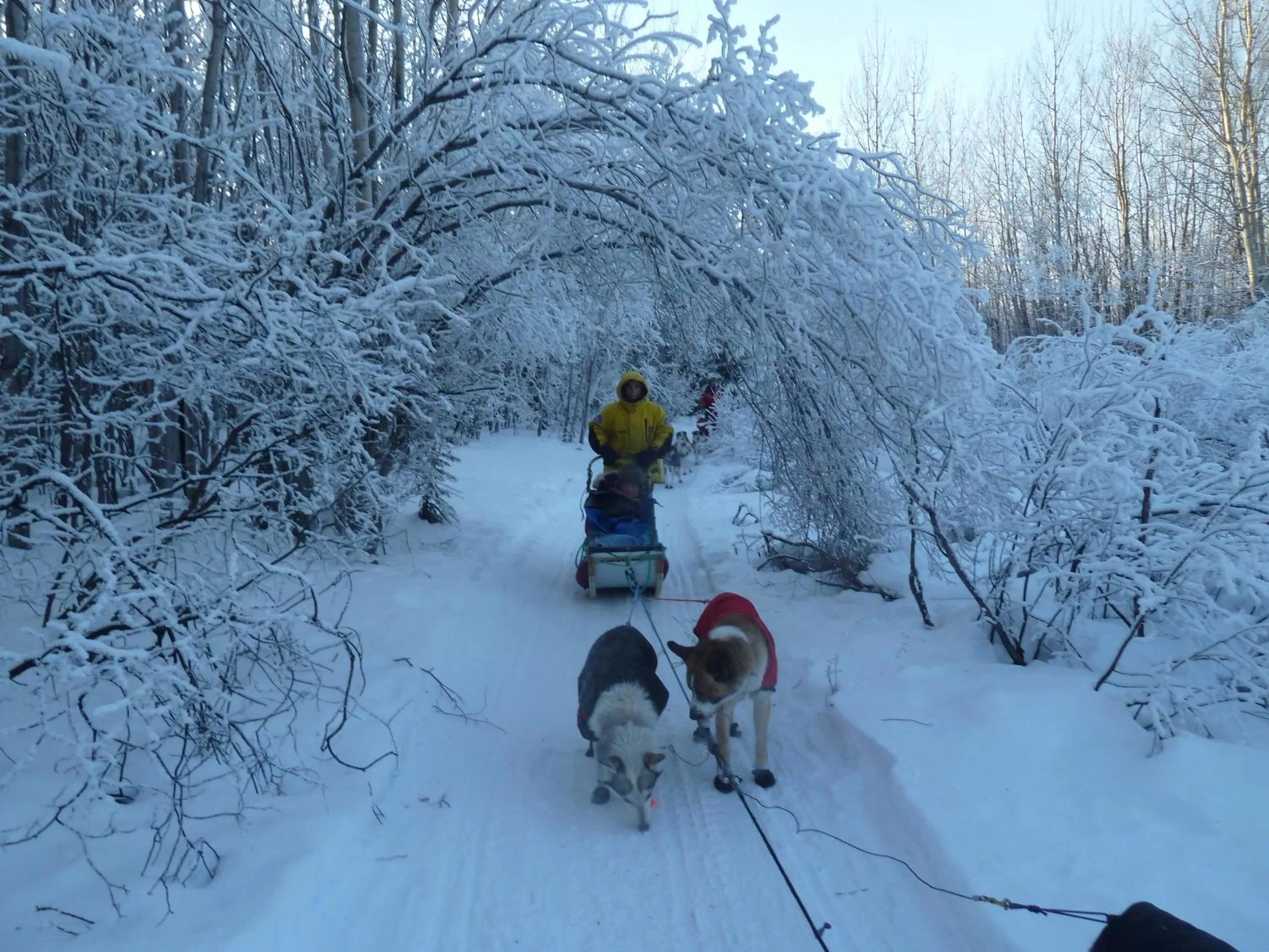 Other in Hidden Valley Bed and Breakfast