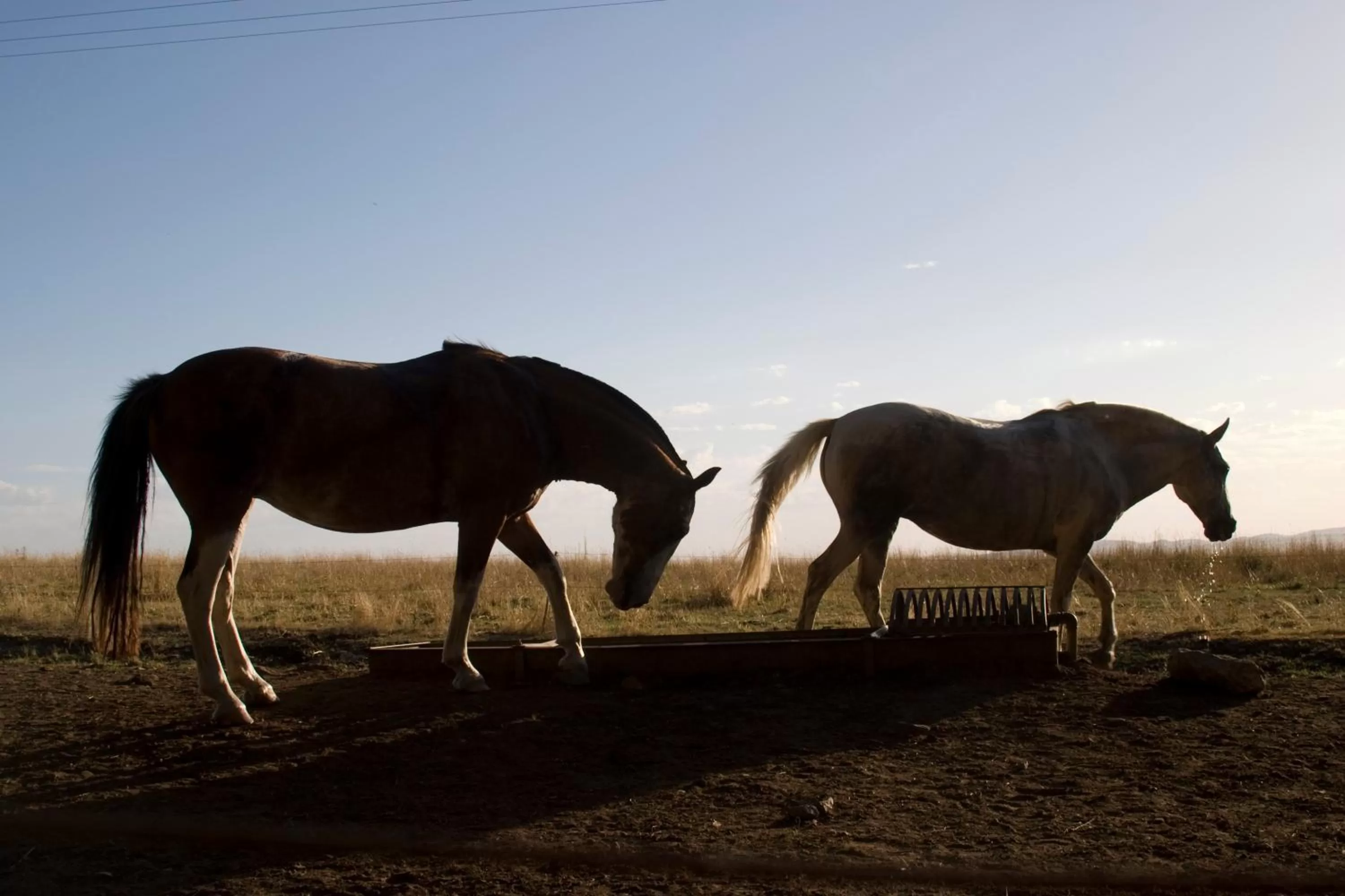 Activities in Estancia Ave María