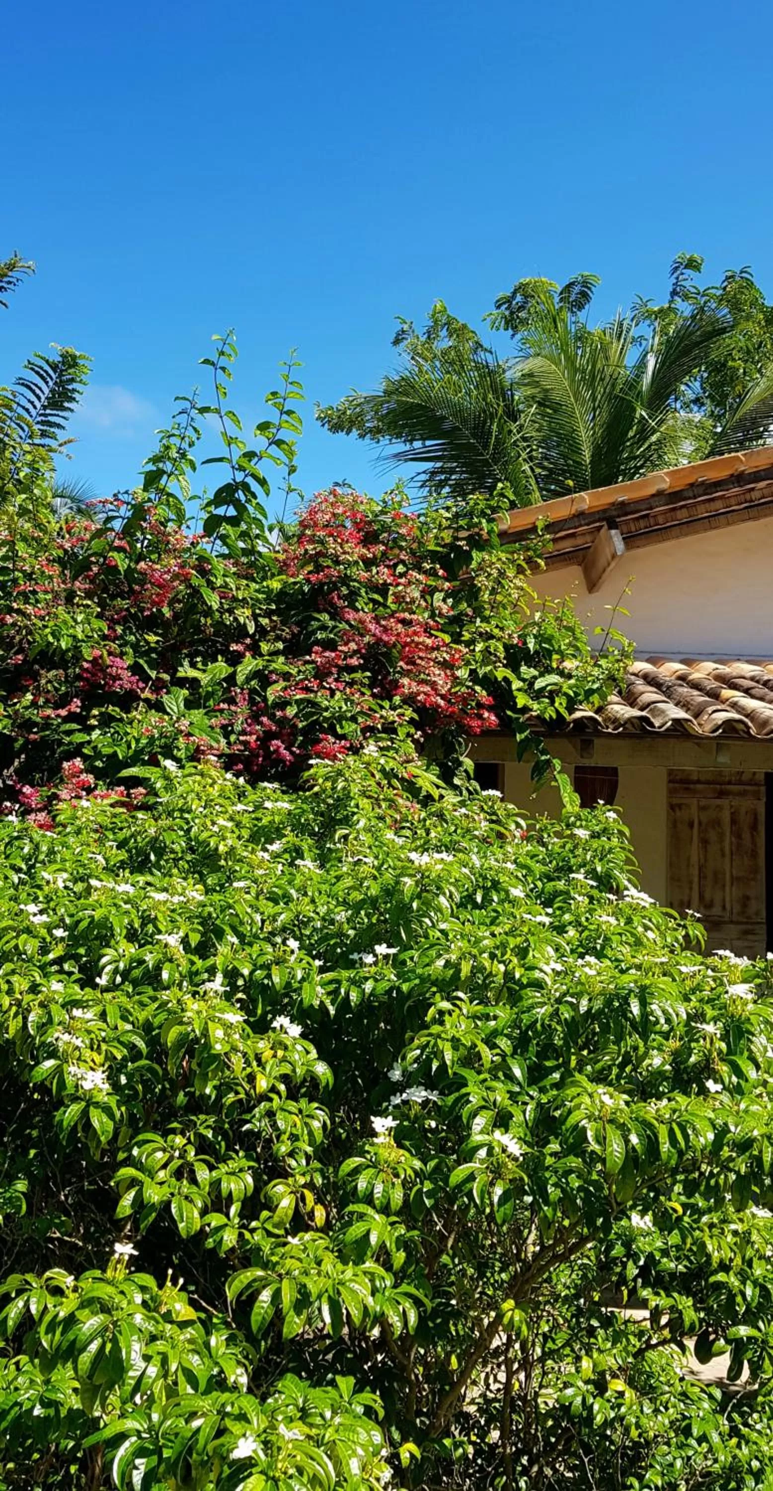Garden in Pousada Villages Boutique Hotel
