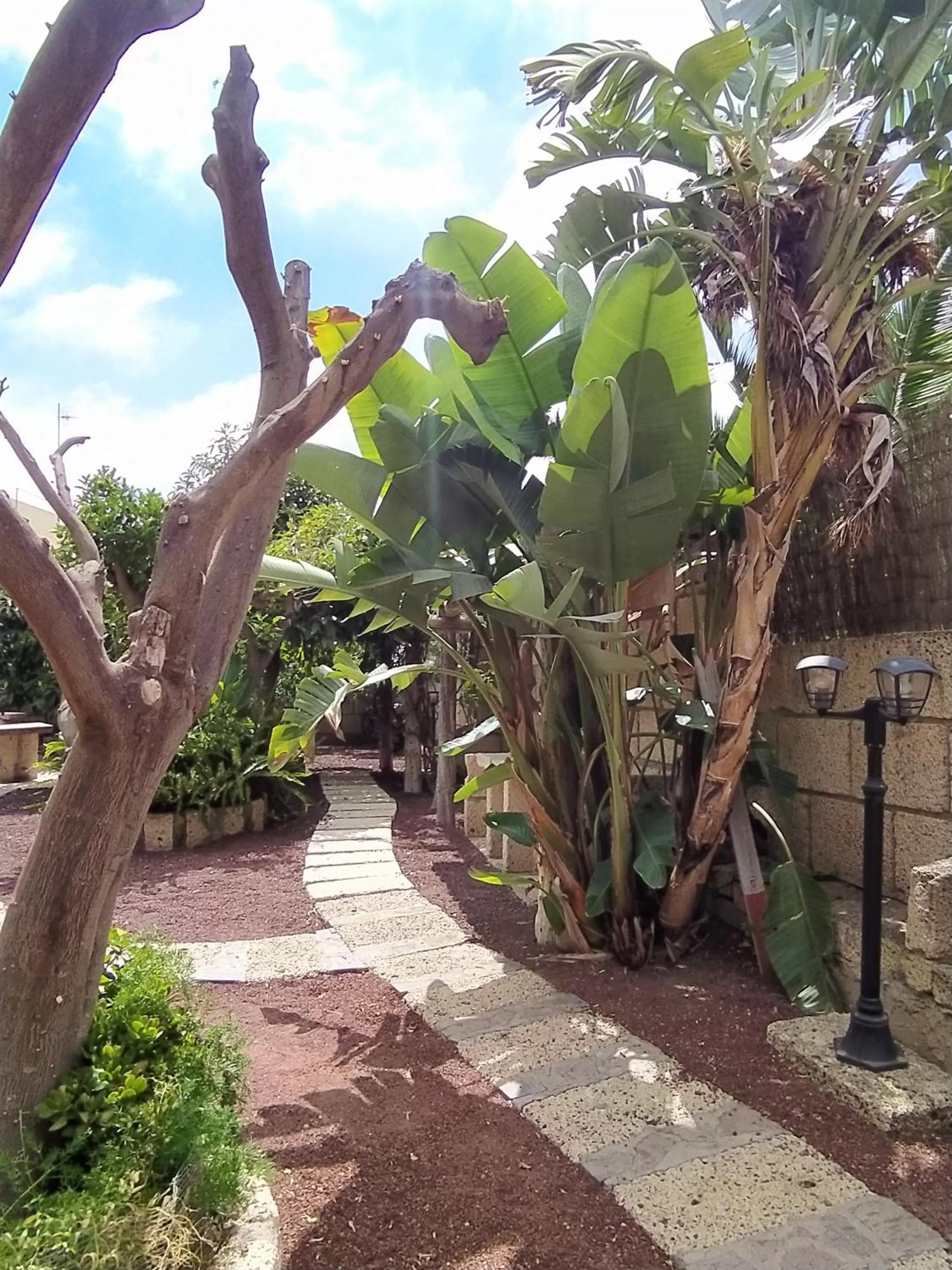 Hotel Rural Senderos de Abona