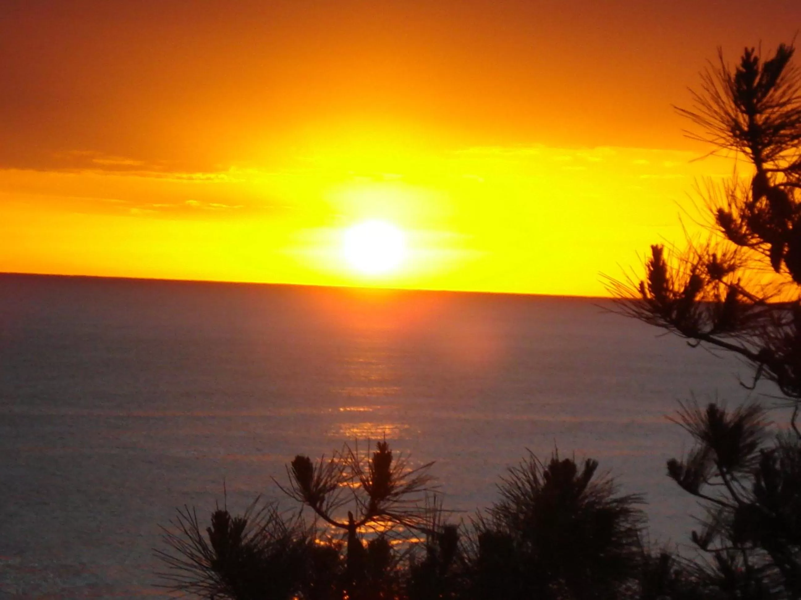 View (from property/room) in BDA Hotel & Spa