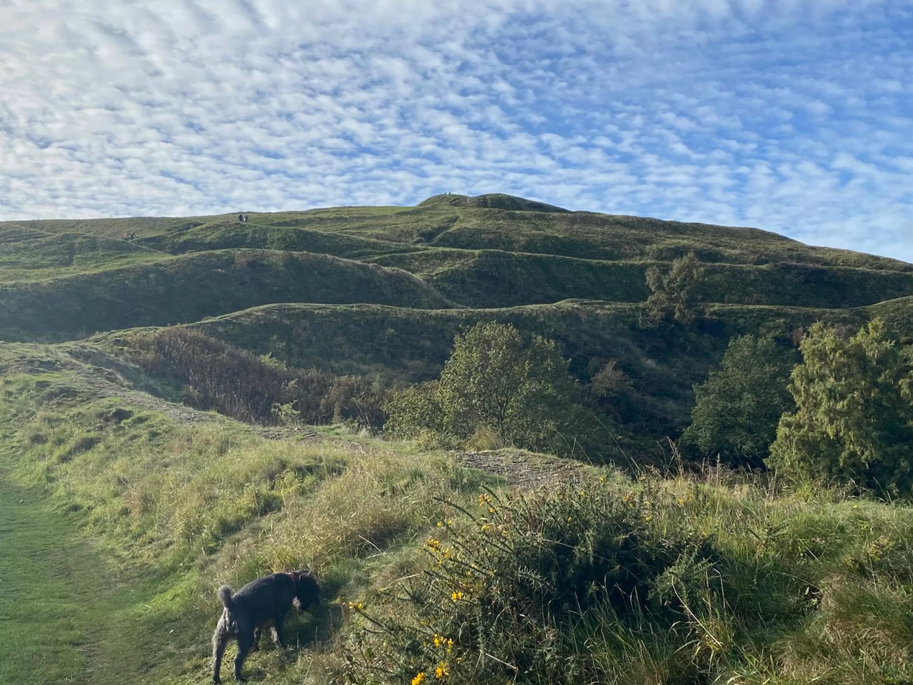 Natural landscape in Orchard Side Bed and Breakfast