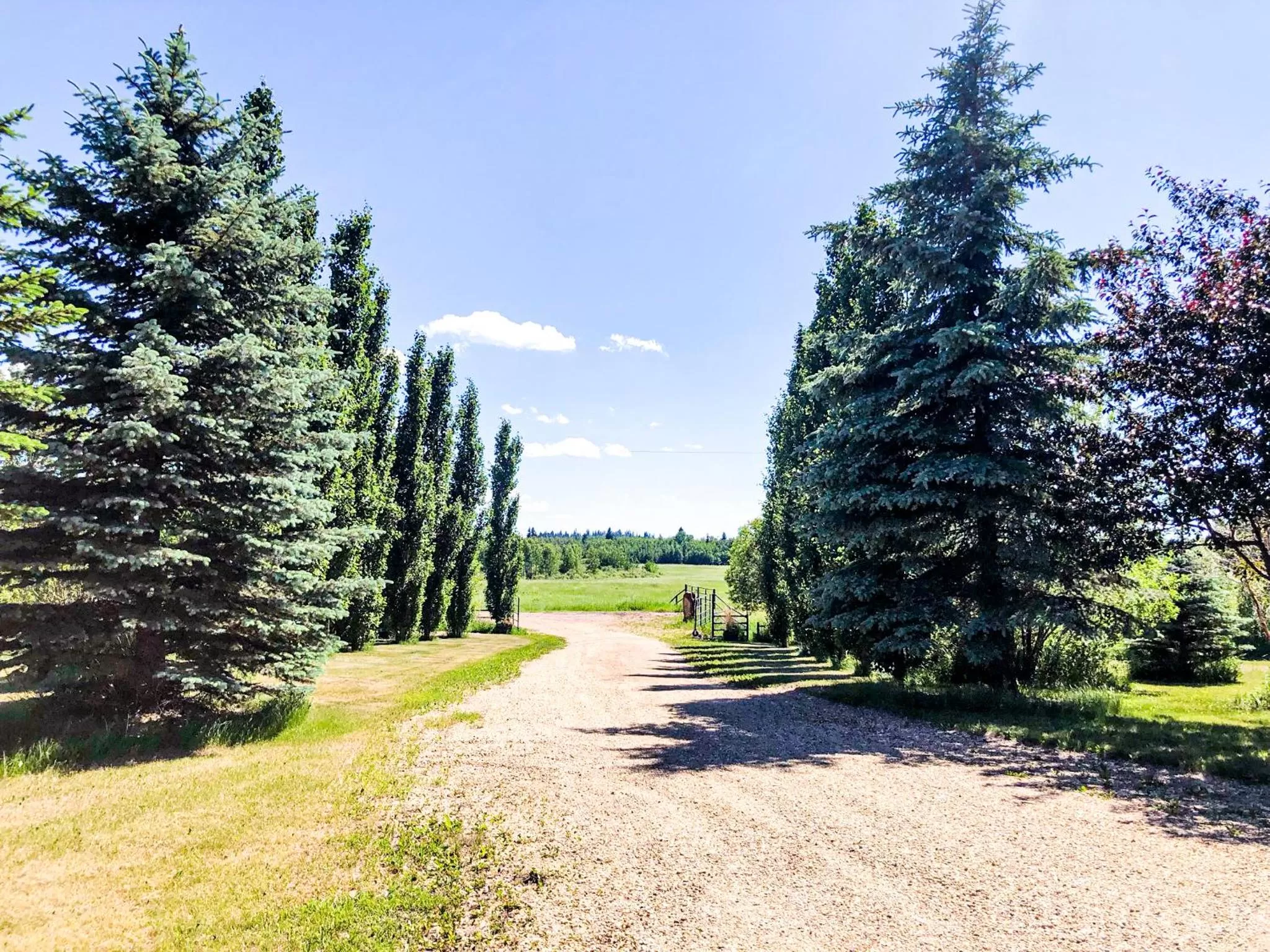 Facade/entrance in Wolf Creek Bed and Breakfast