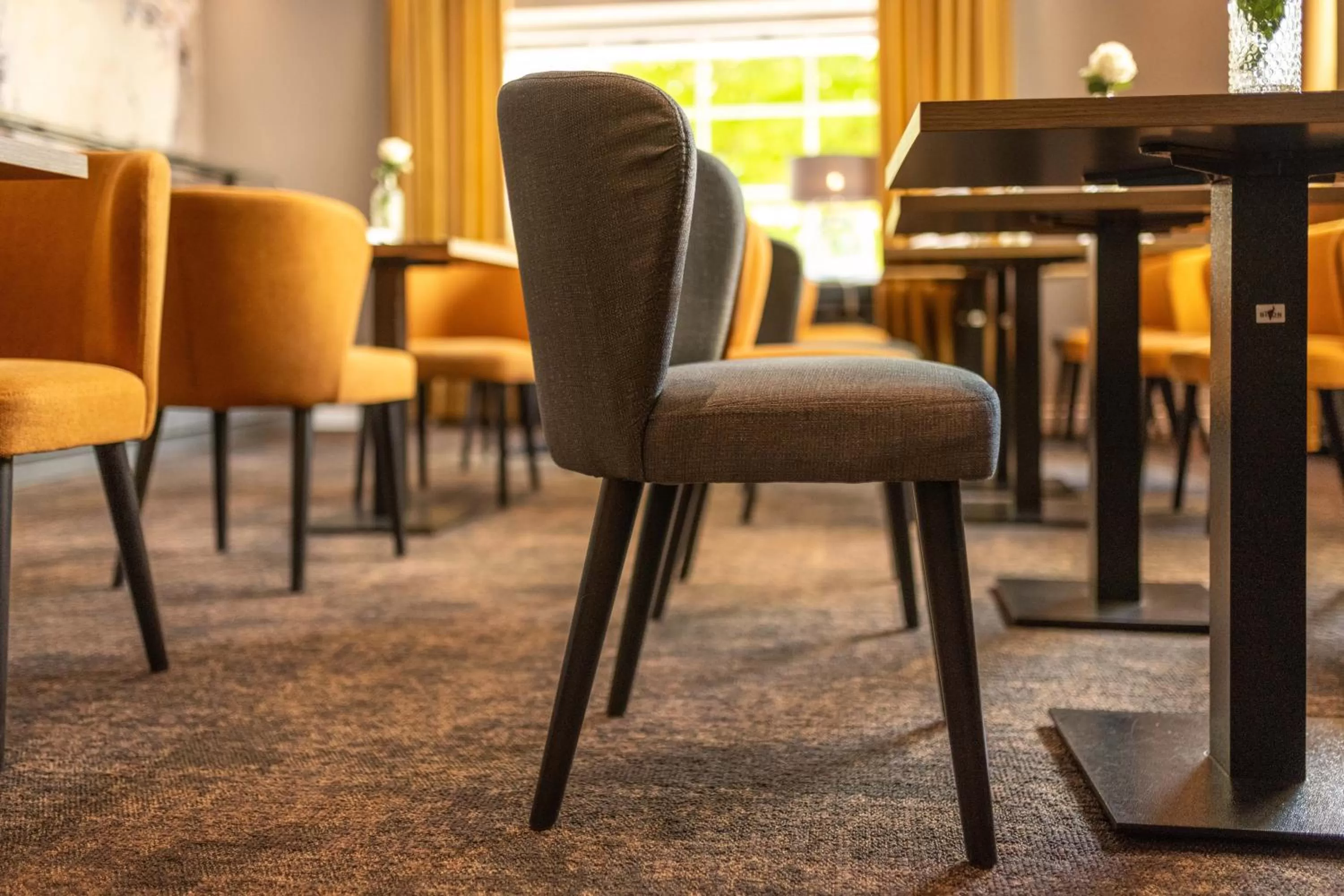 Restaurant/places to eat in Hotel Rheinischer Hof