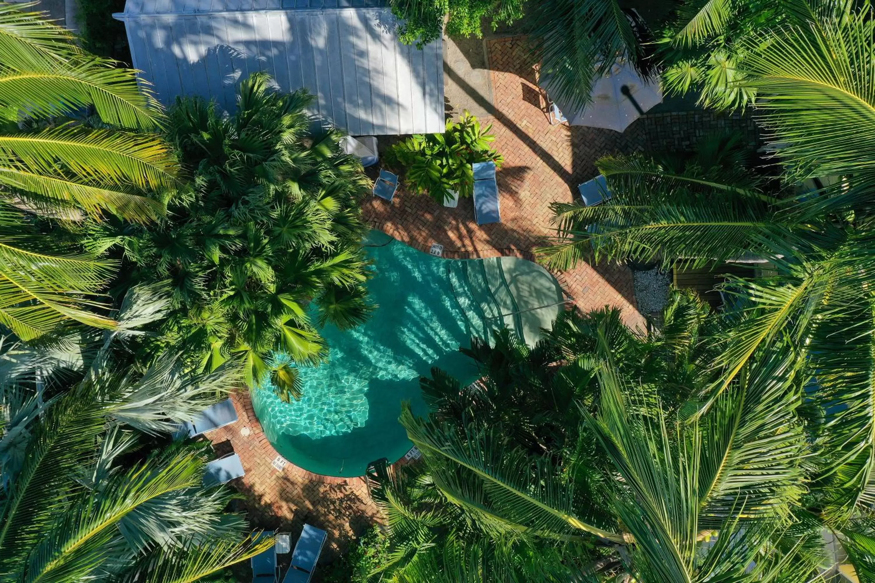 Spring in Tranquillity