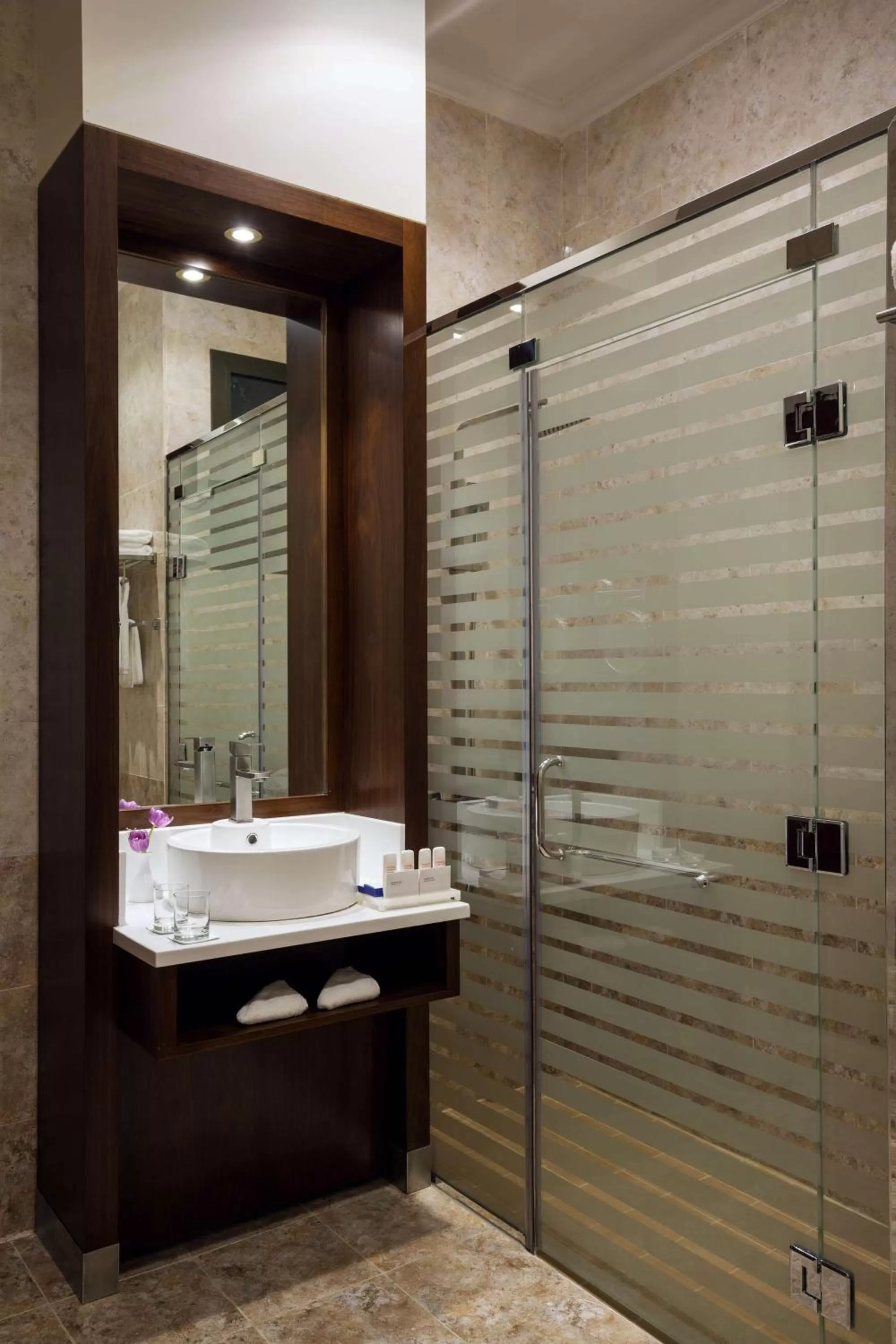 Toilet in Radisson Blu Hotel, Buraidah