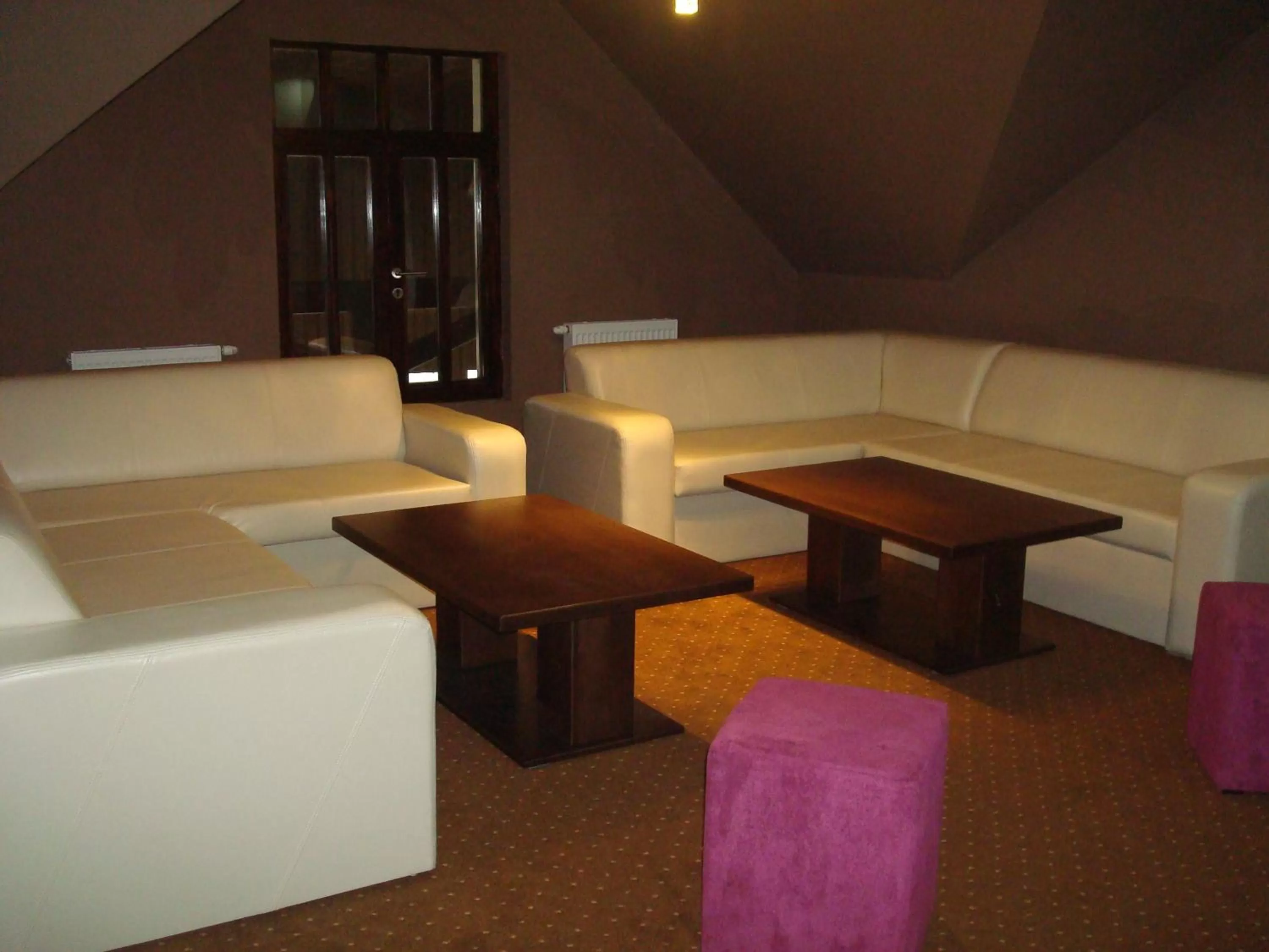 Communal lounge/ TV room in Hotel Fürdőház