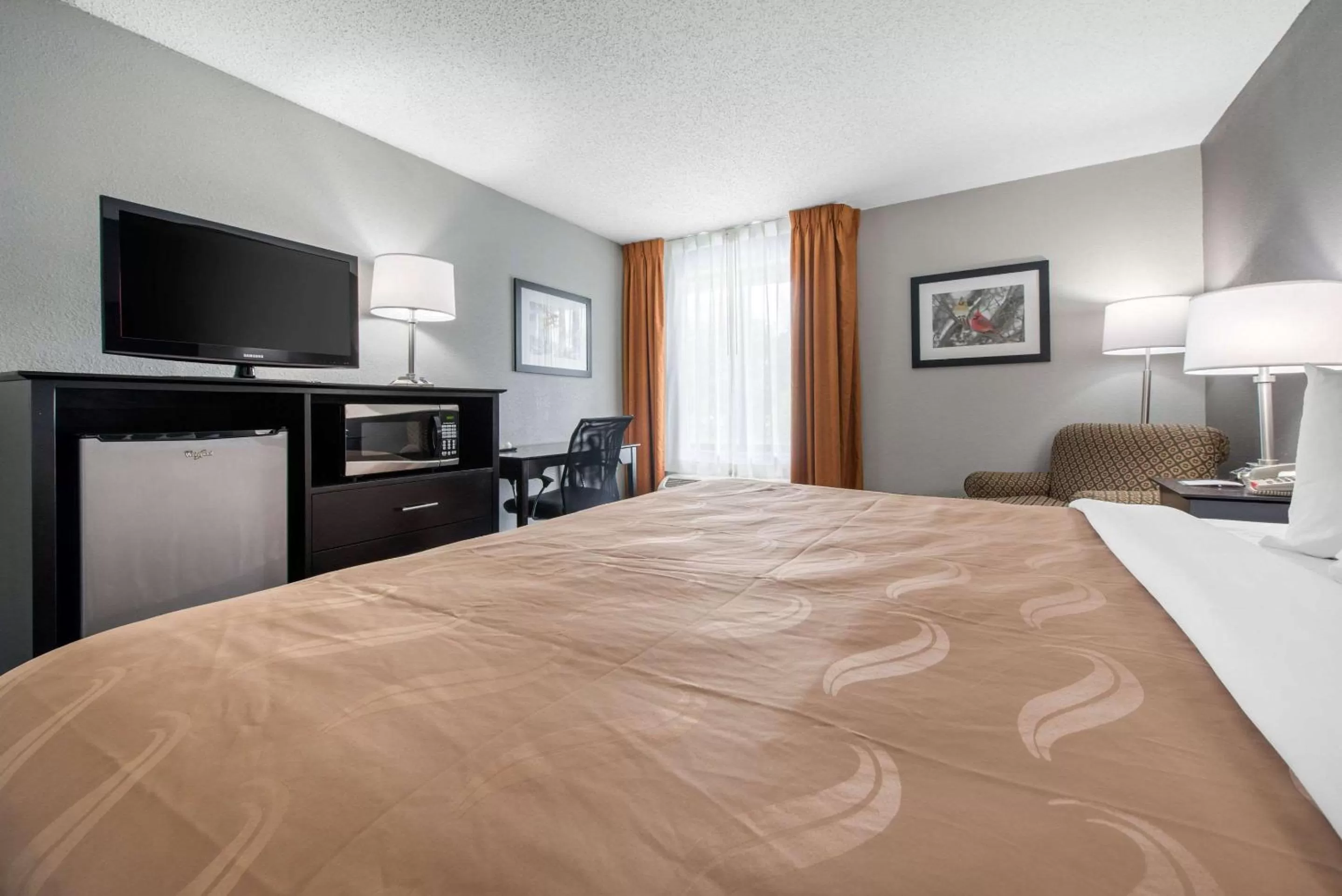 Photo of the whole room, Bed in Quality Inn & Suites Brownsburg - Indianapolis West