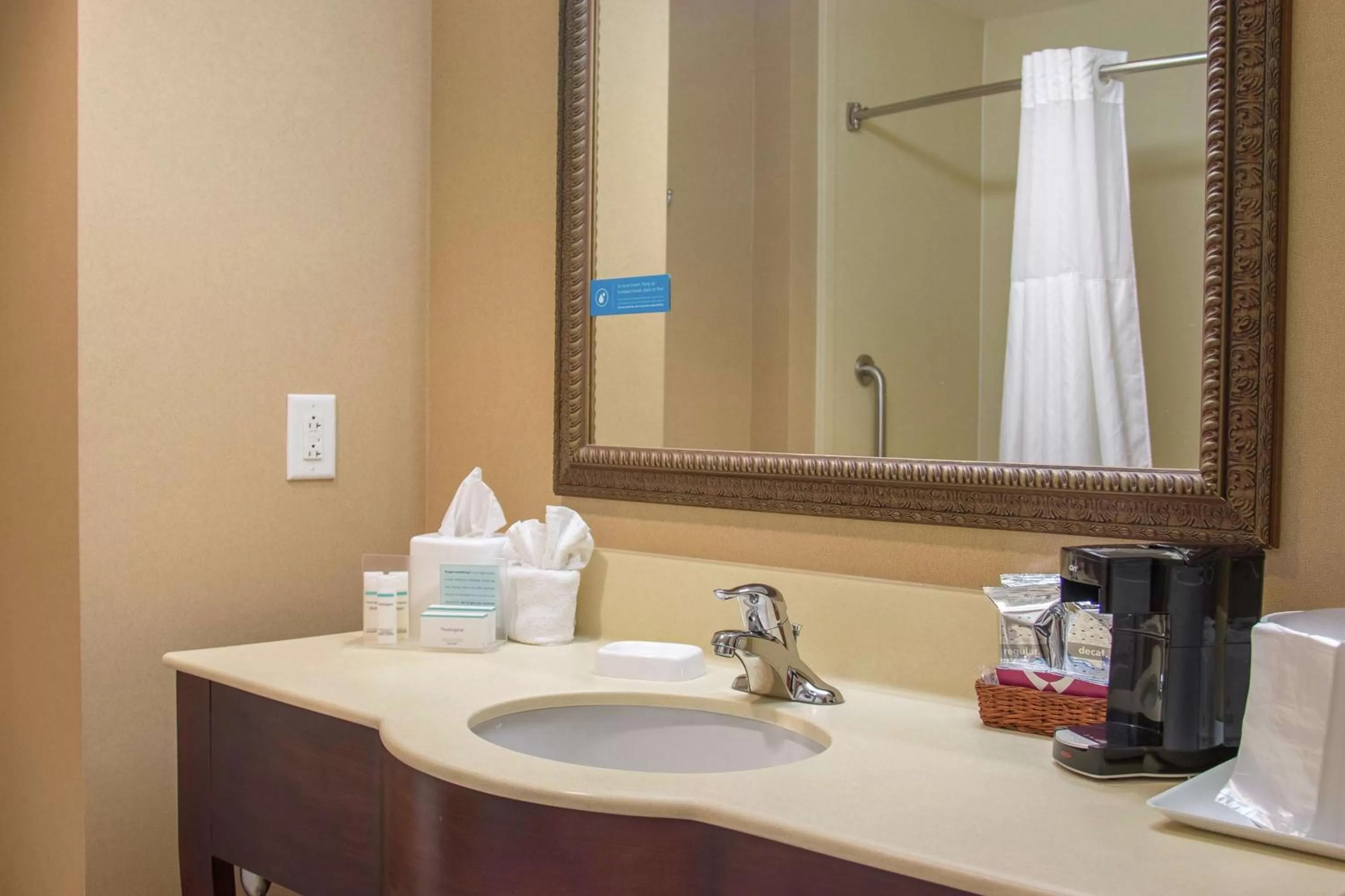 Bathroom in Hampton Inn Murphy