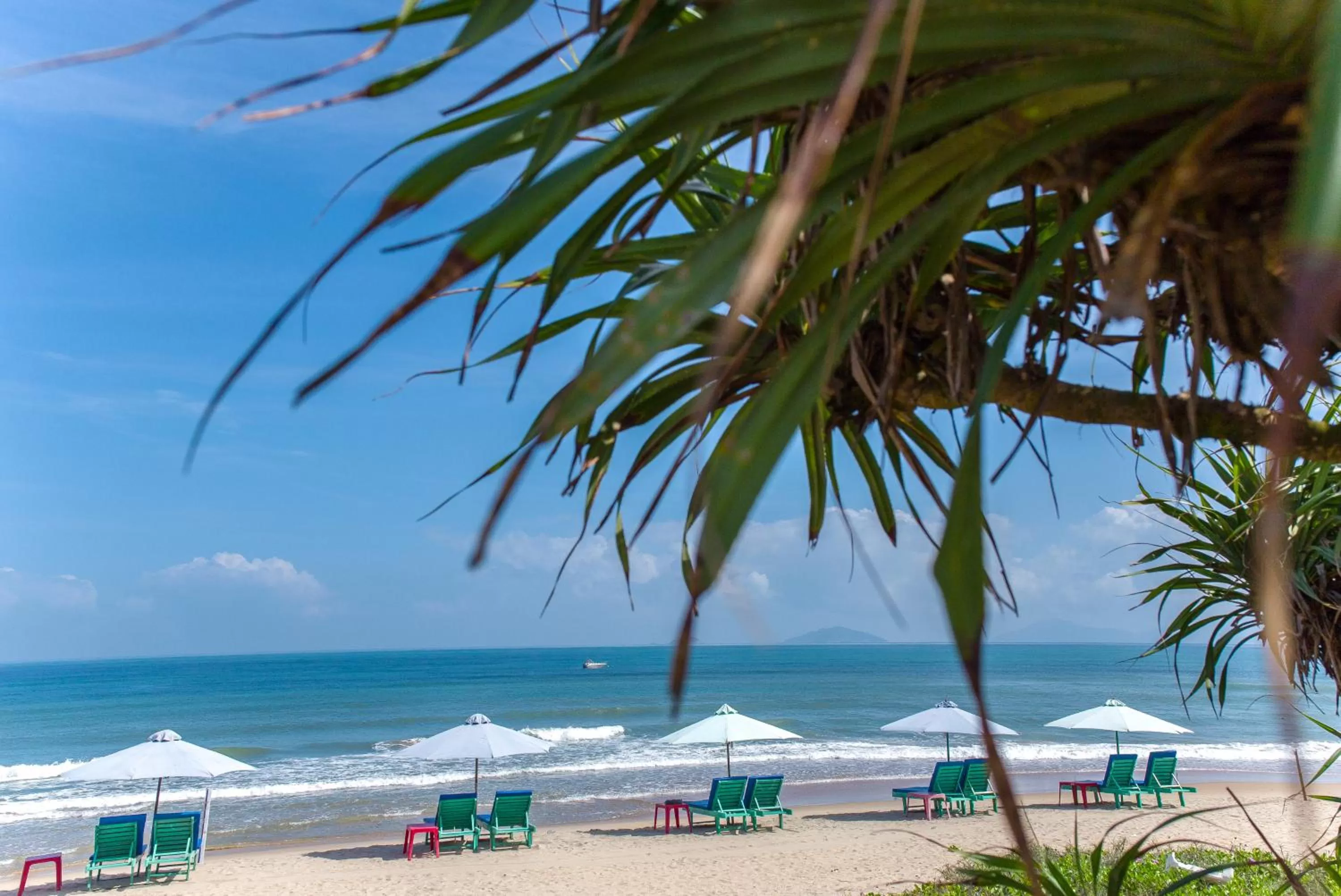 Beach in Peach House