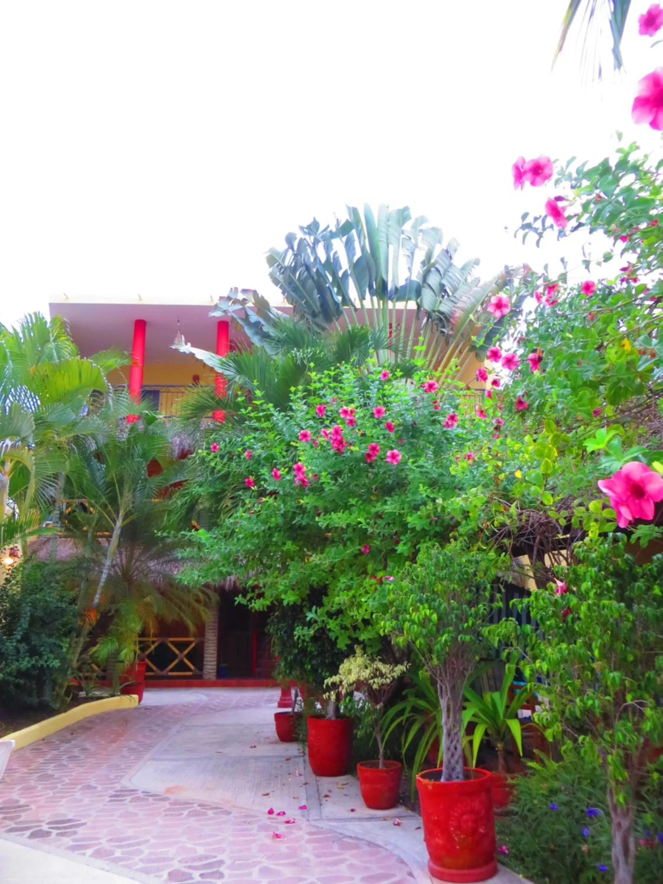 Property building in La Cruz Inn