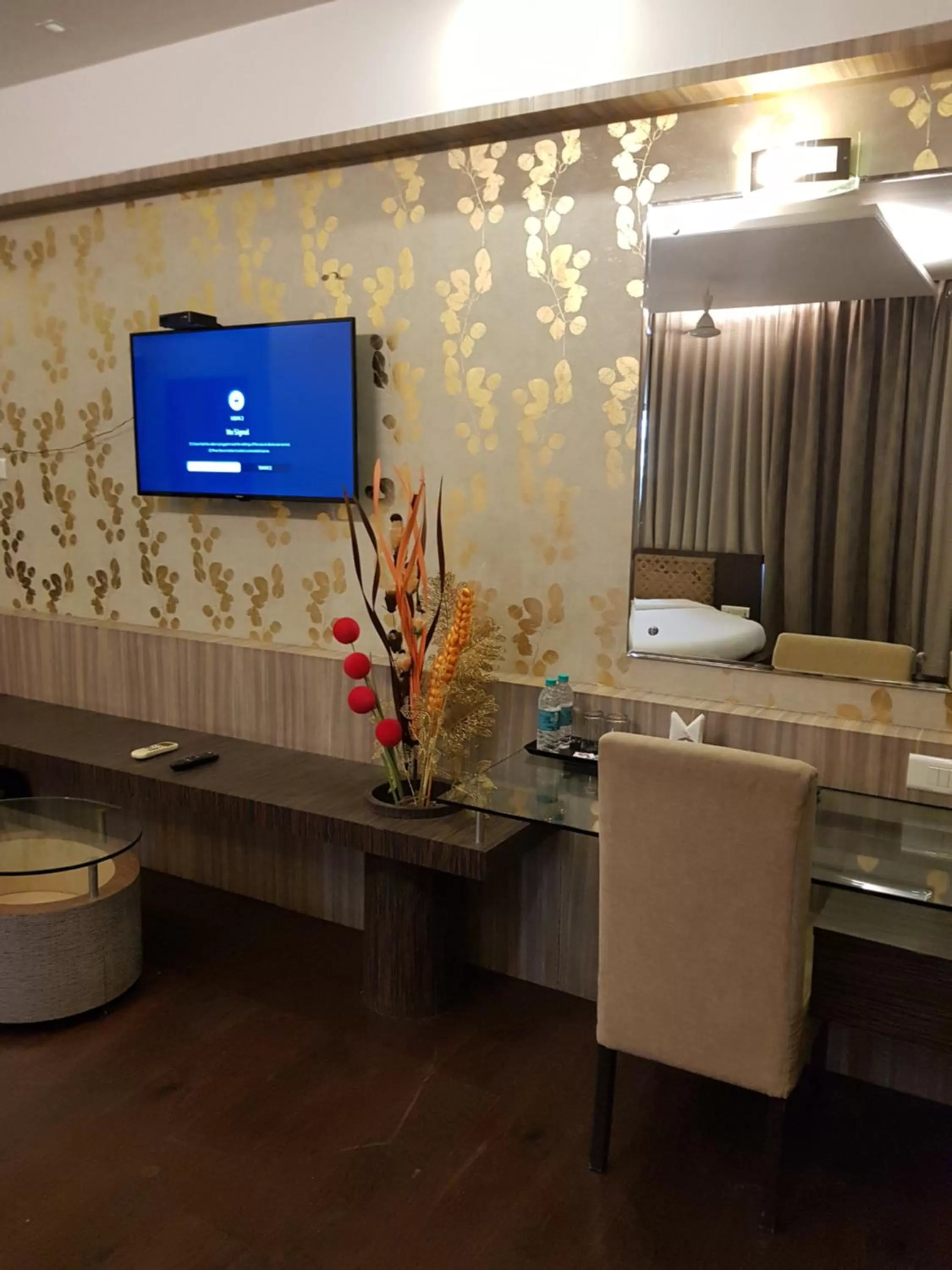 TV and multimedia in Hotel Udayanraje Palace