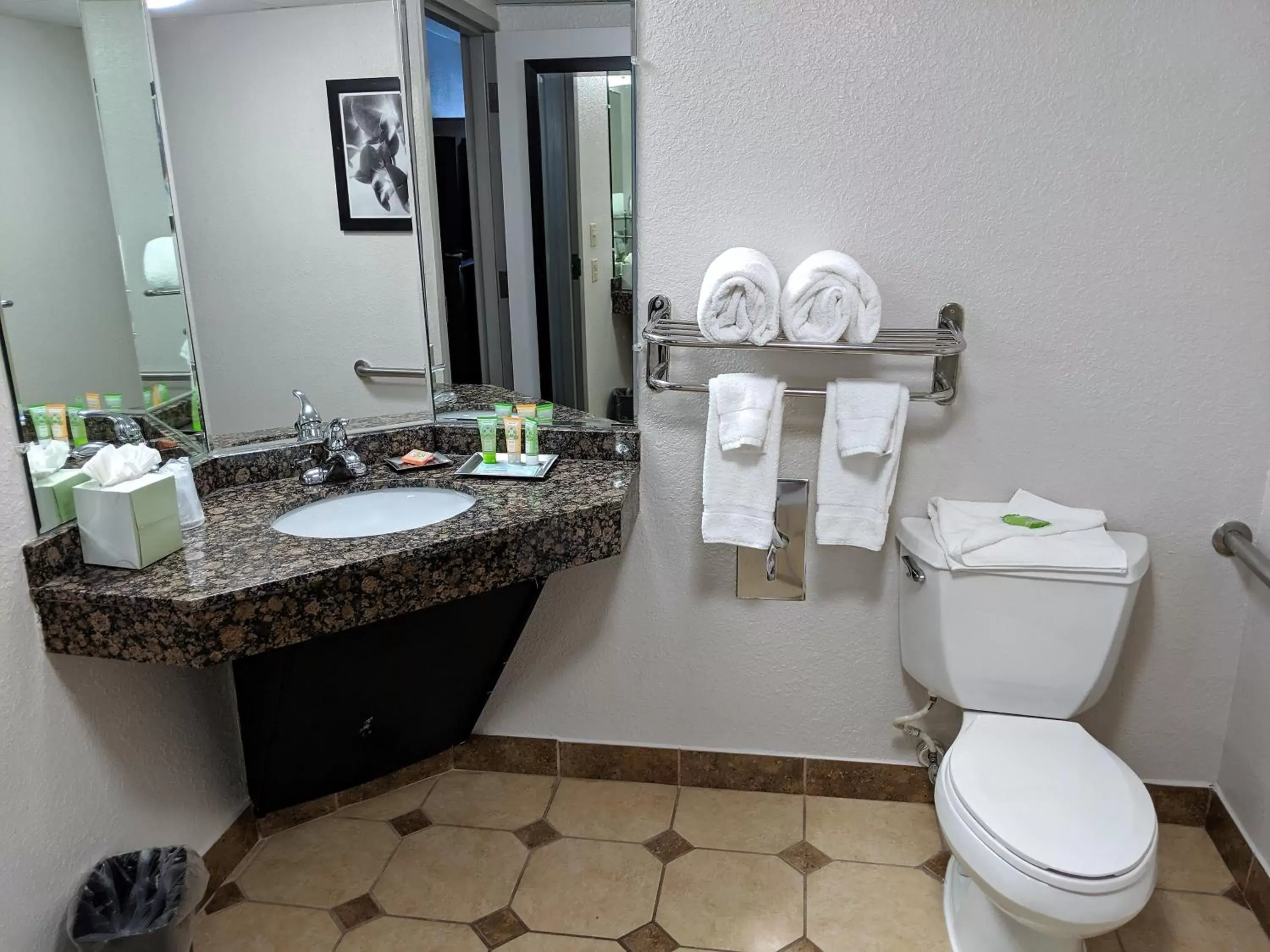 Deluxe King Room - Non-Smoking in Wyndham Garden Charlotte Airport Southeast Deluxe King Room - Non-Smoking in Wyndham Garden Charlotte Airport Southeast