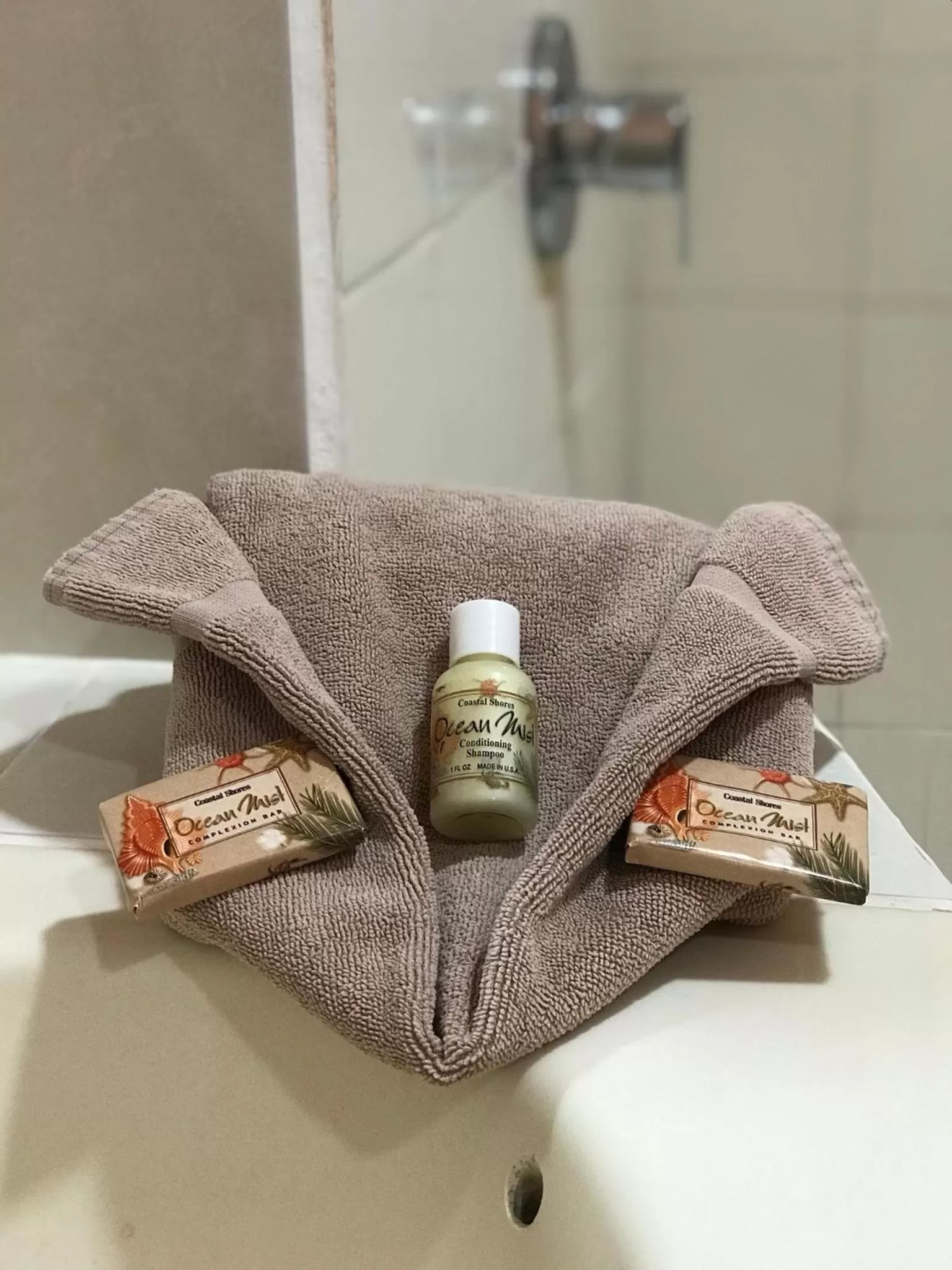 Decorative detail, Bathroom in Tropical Paradise Express