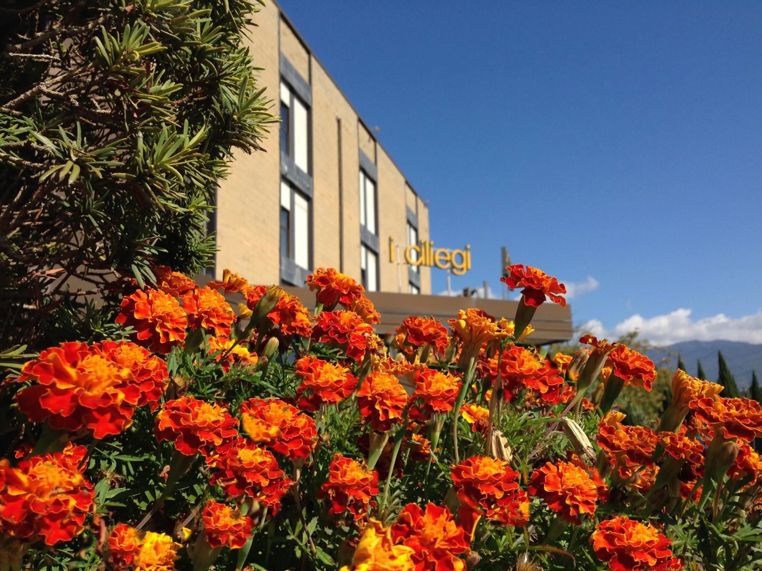 Facade/entrance, Property Building in Hotel i Ciliegi