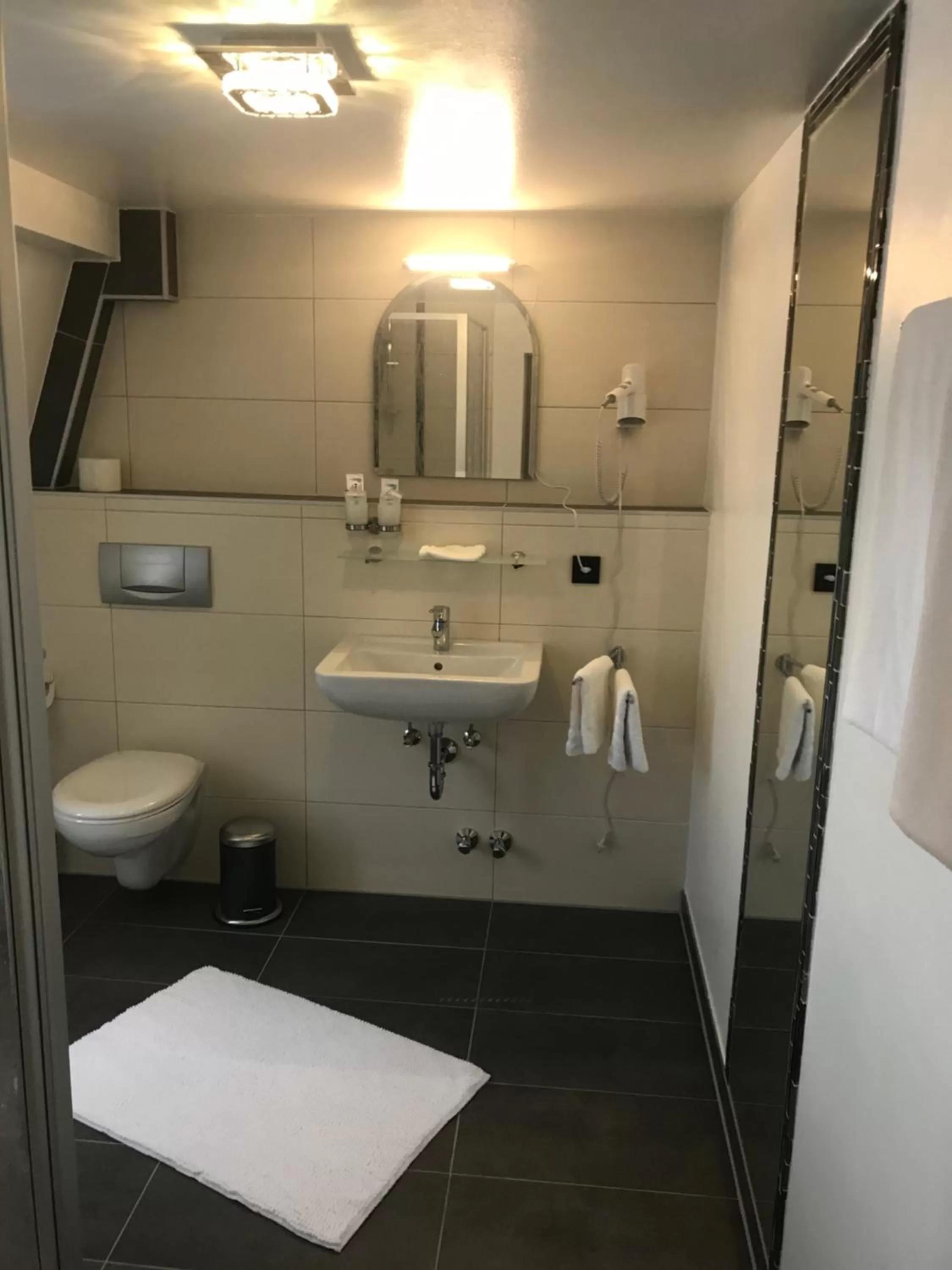 Bathroom in Hotel Friedrich