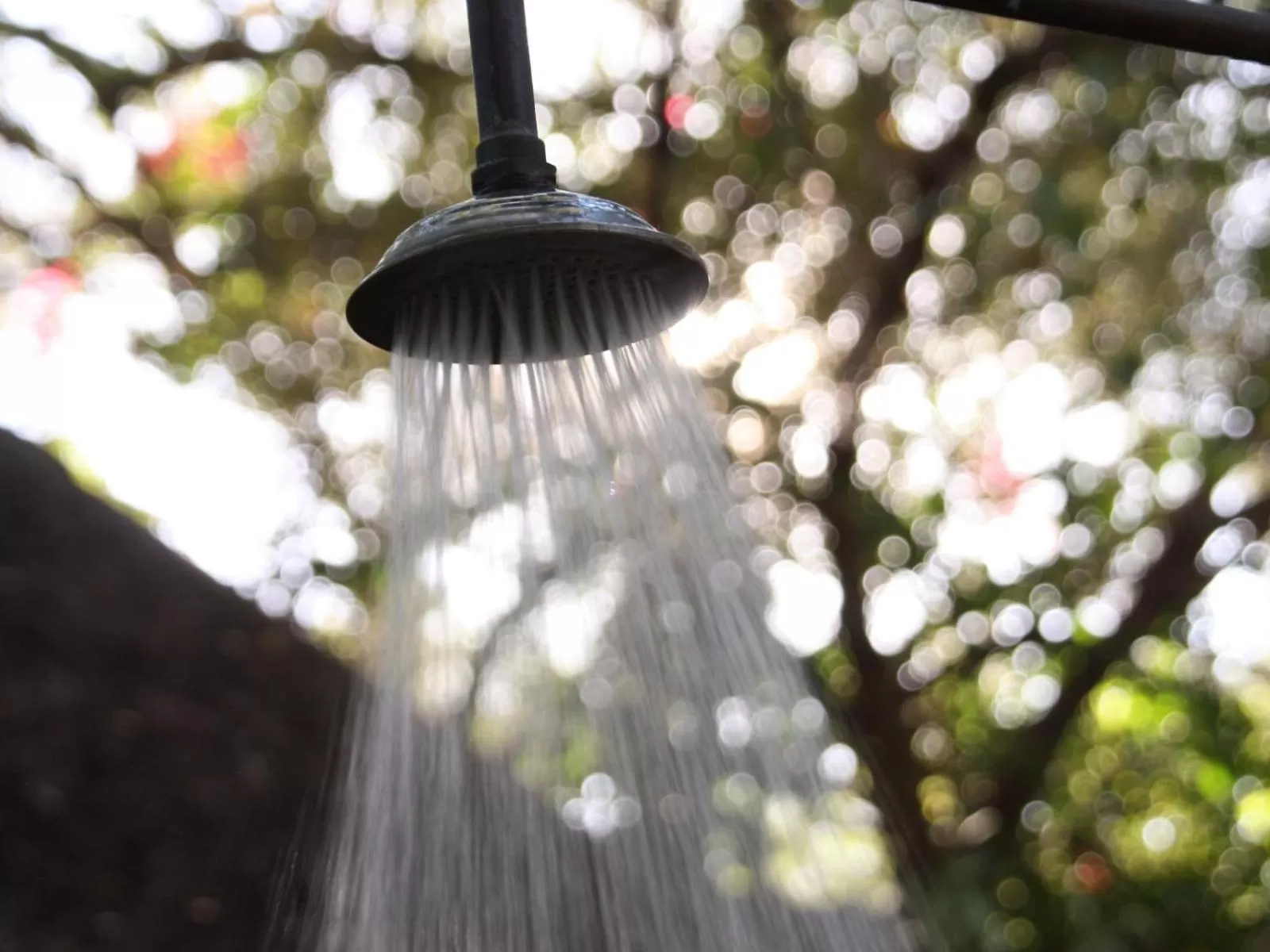 Discovery Bed and Breakfast