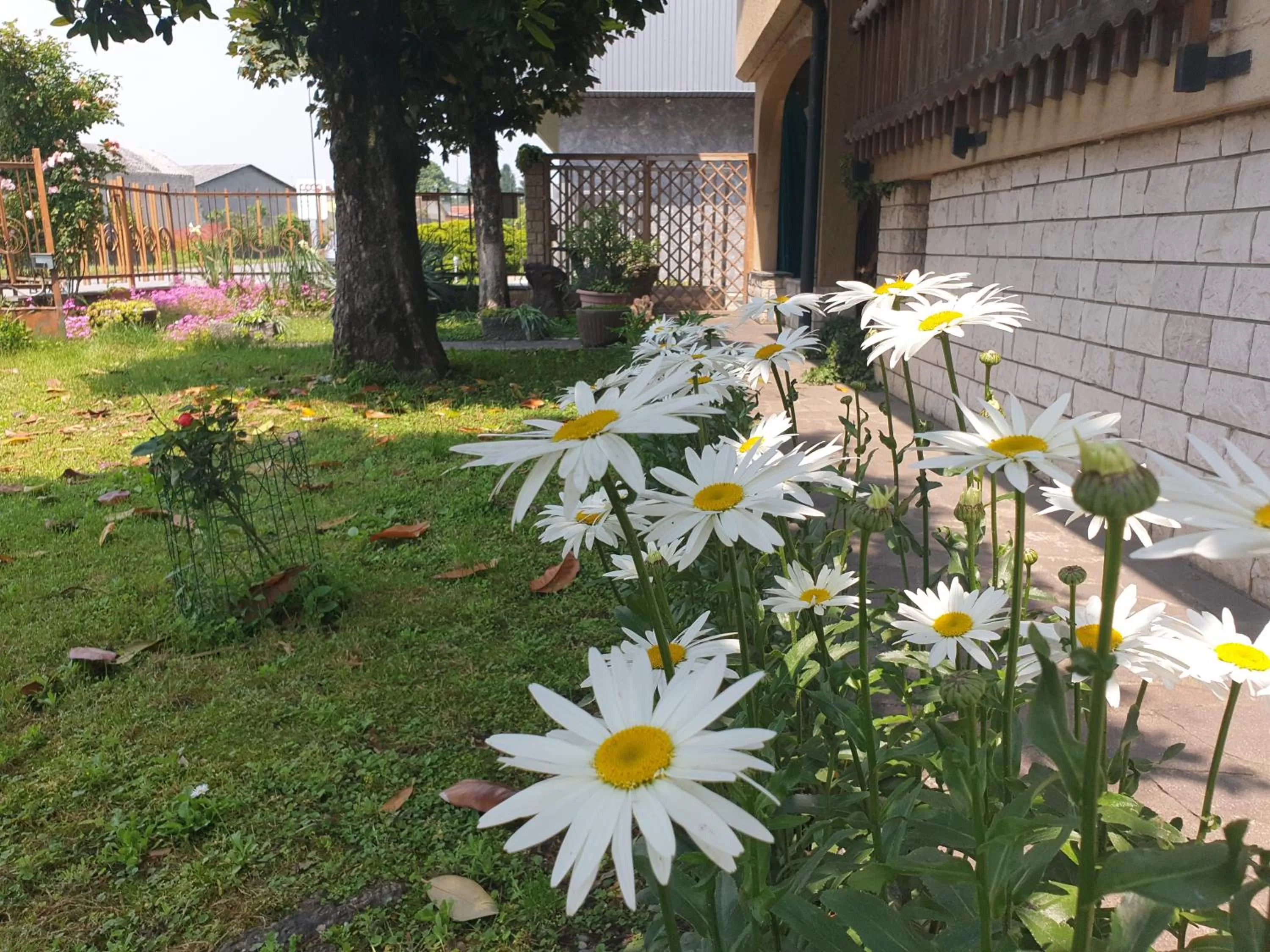 Garden in B&B Family Home