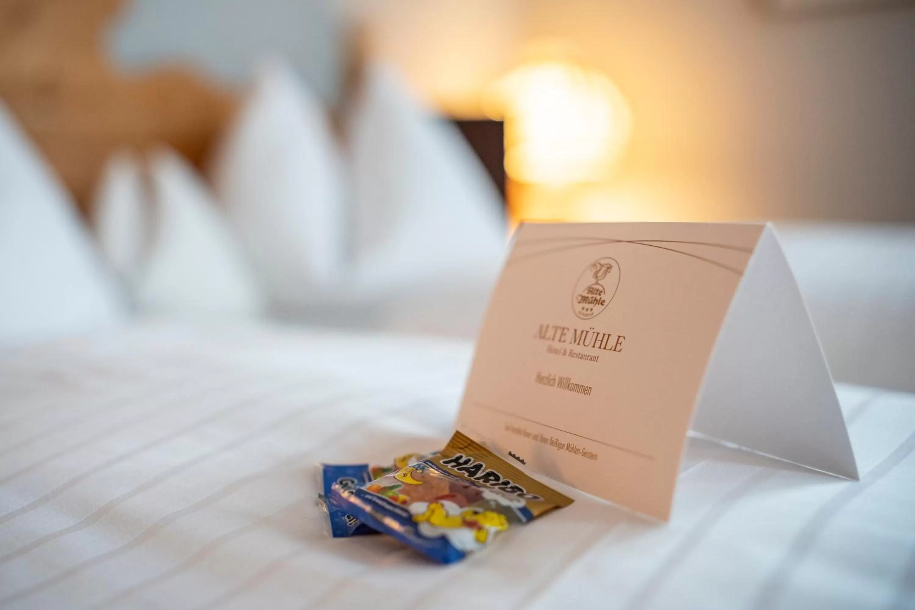 Photo of the whole room in Alte Mühle Hotel & Restaurant