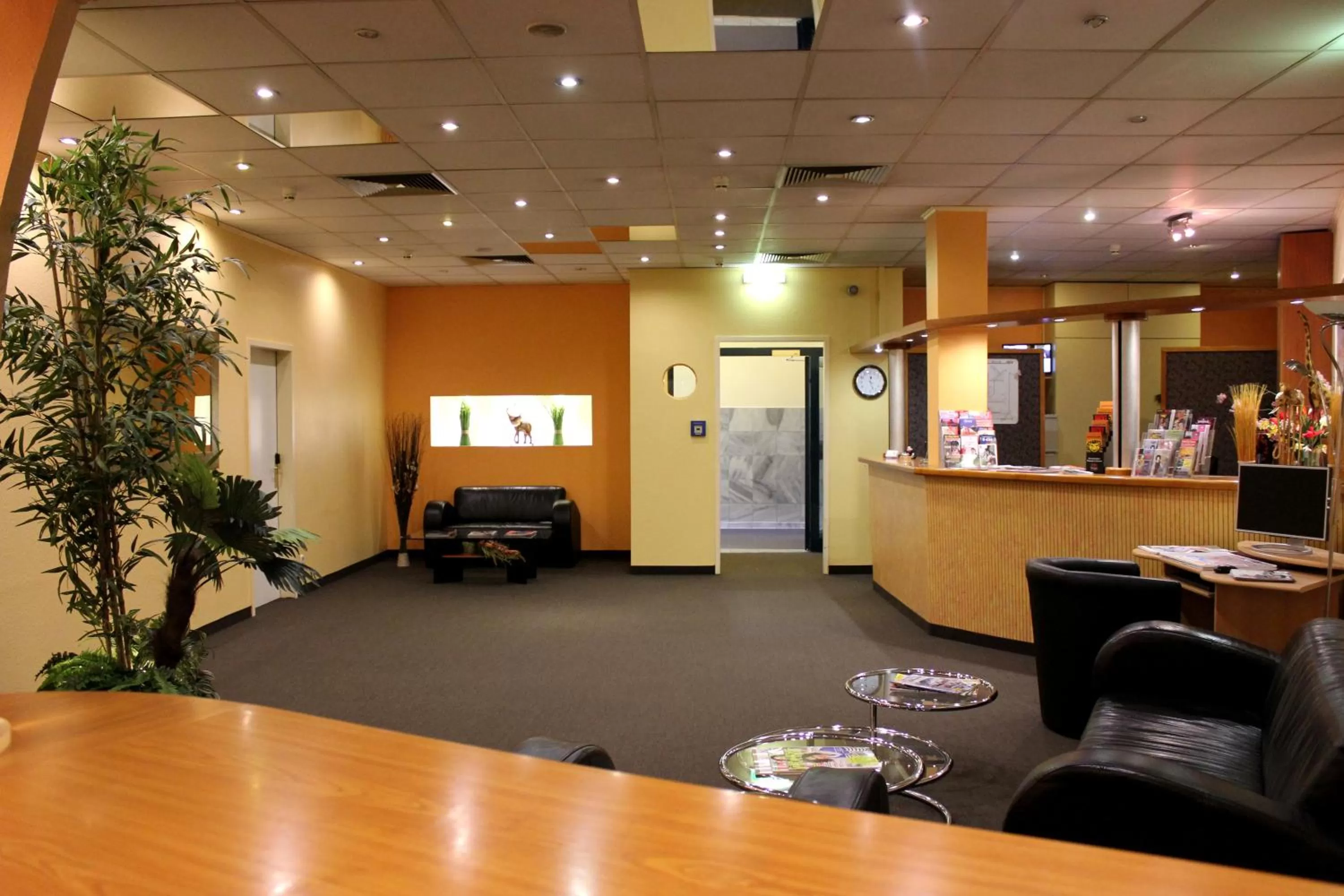 Lobby or reception in Cabo Nichtraucher-Hotel