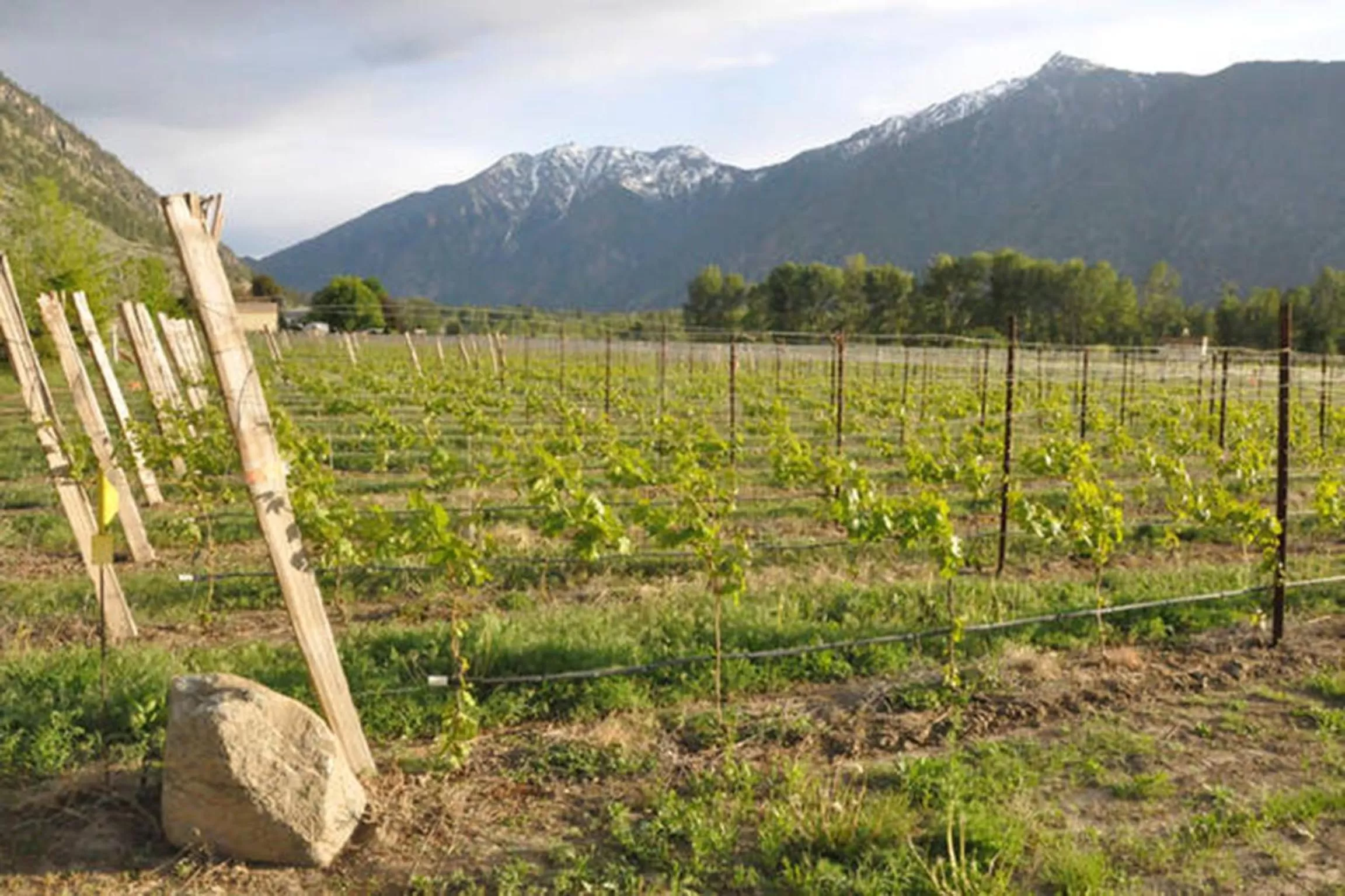 Natural landscape in Similkameen Wild Resort & Winery Retreat