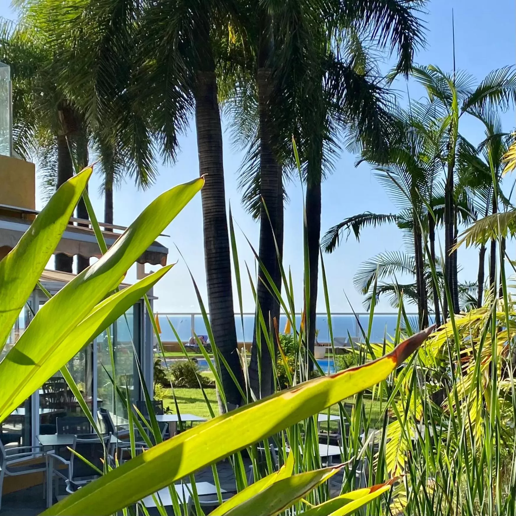 Garden in Hotel Tigaiga