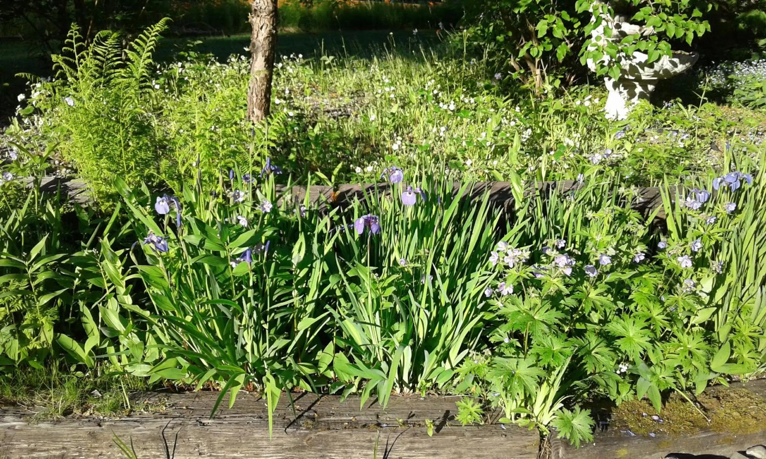 Alaska Chalet Bed & Breakfast