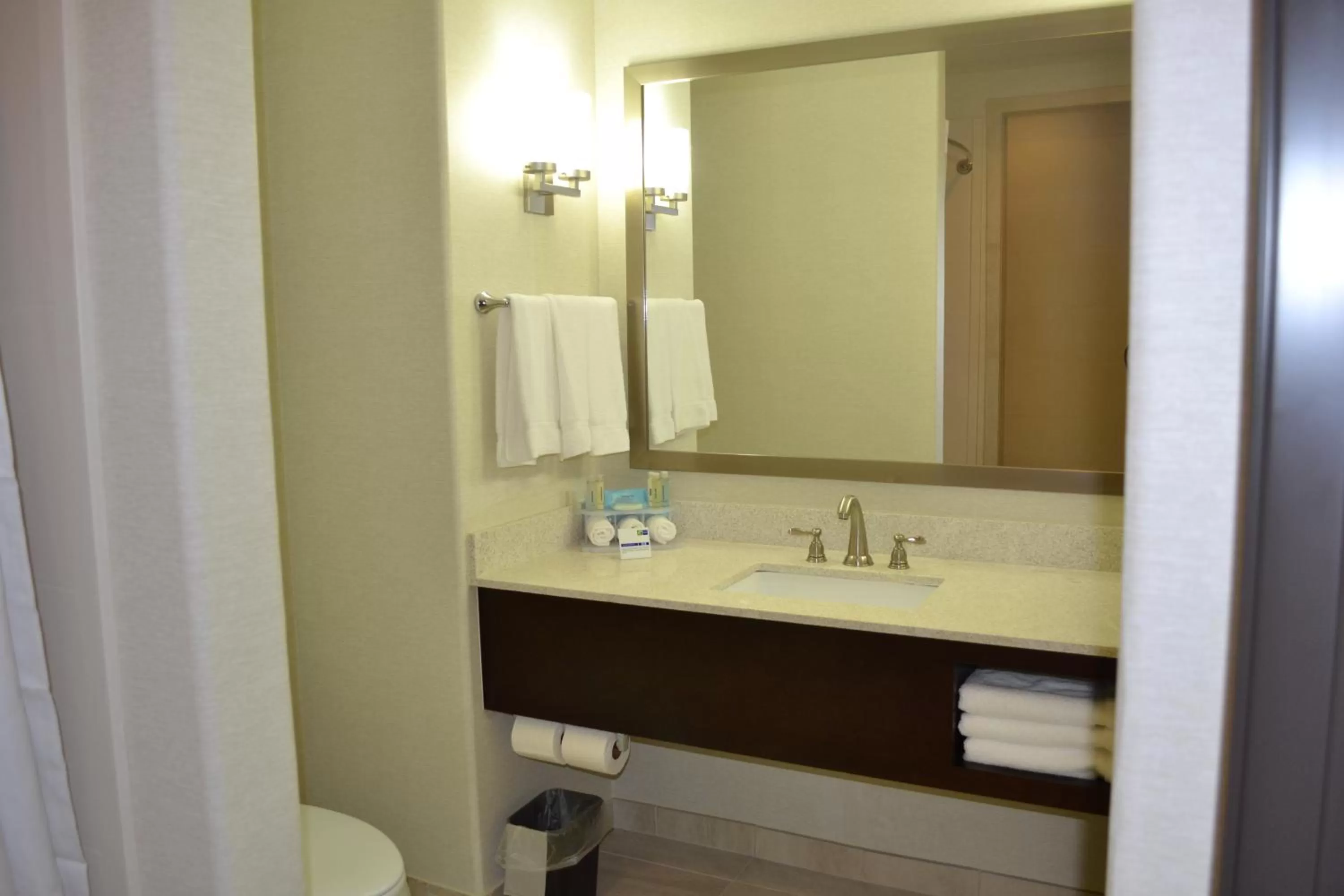 Bathroom in Holiday Inn Express Hotel and Suites Duncan by IHG