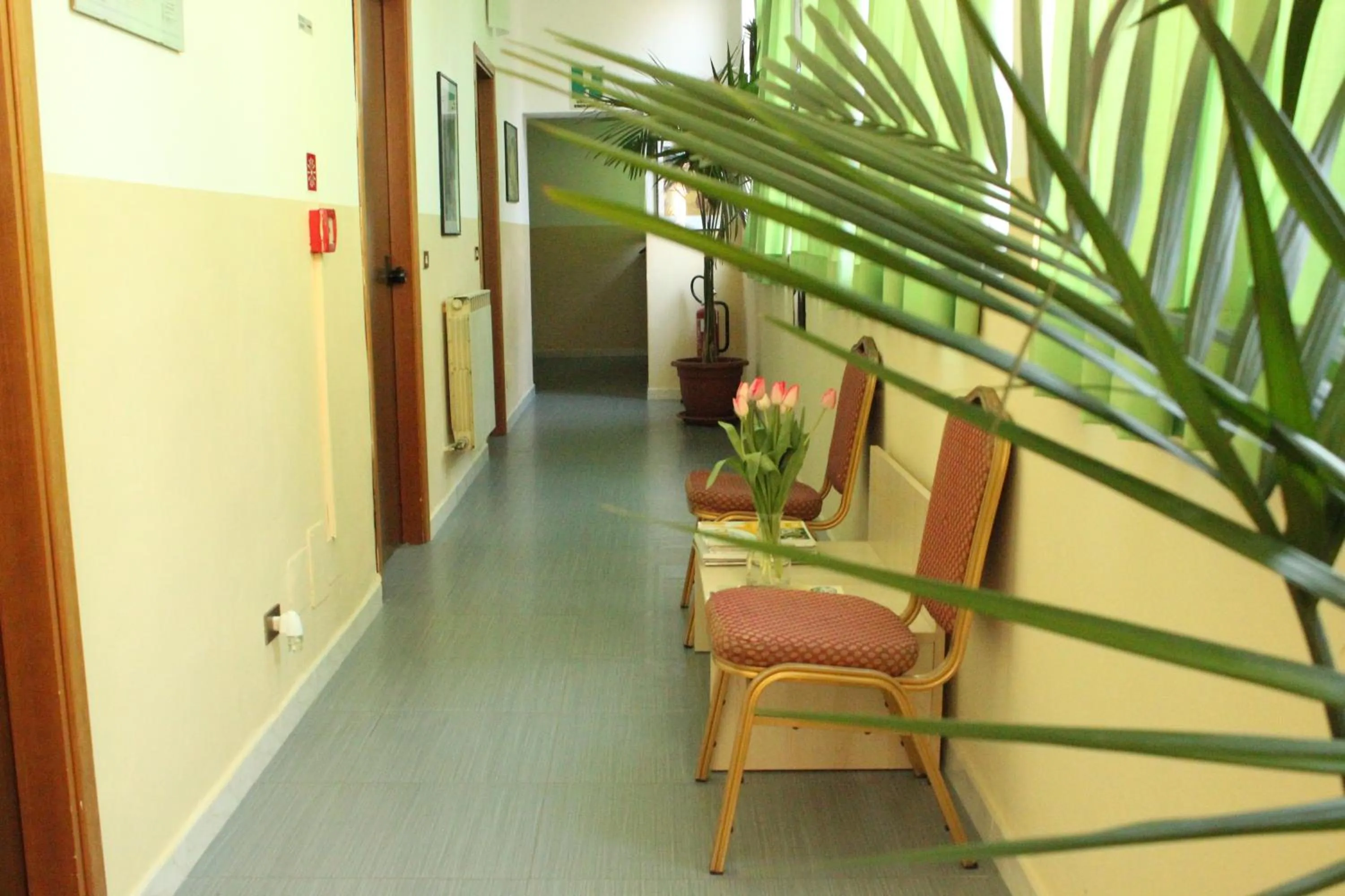 Area and facilities in Hotel Europa