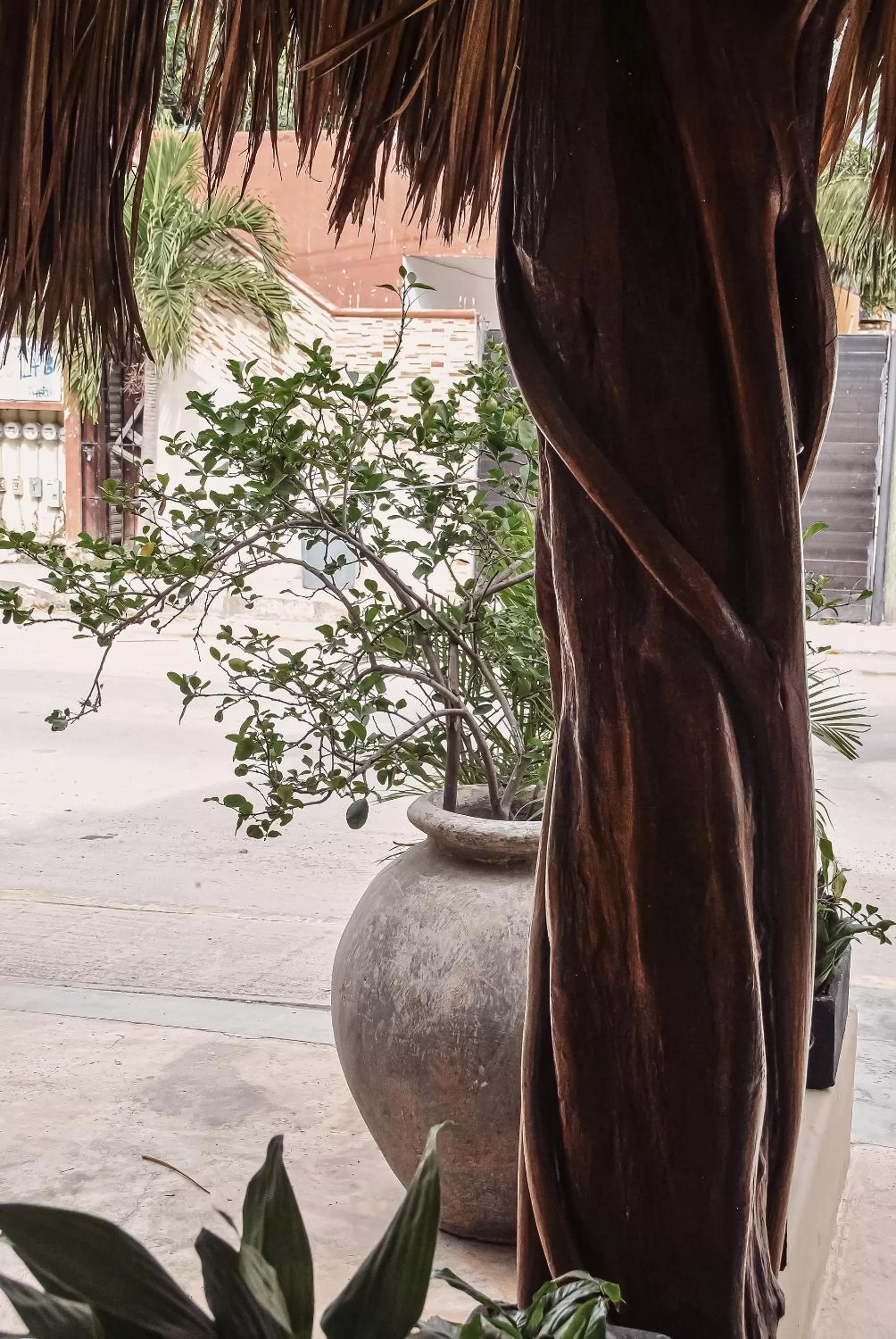 Decorative detail in Boutique Hotel Posada 06 Tulum