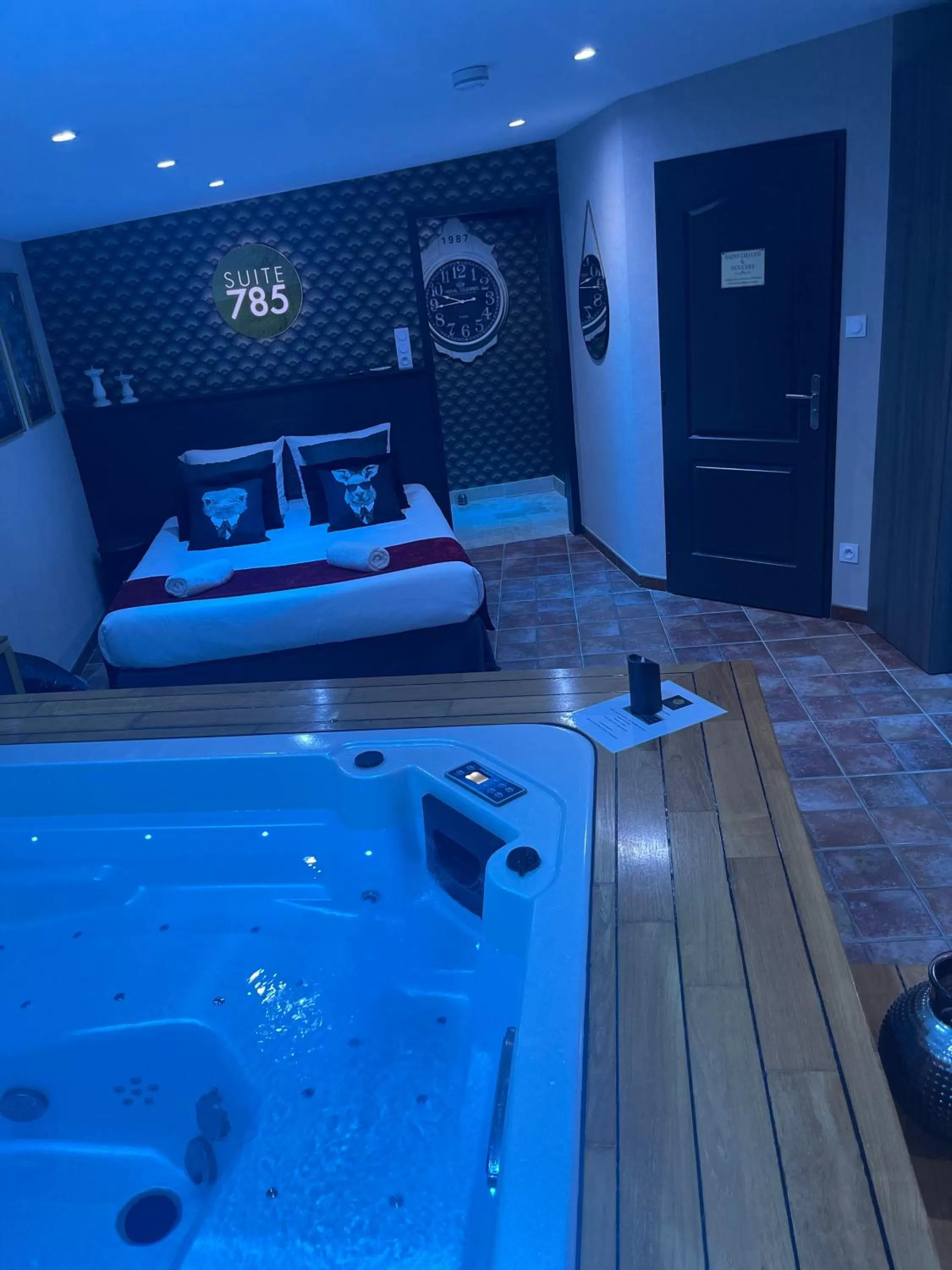 Photo of the whole room, Spa/Wellness in SUITE 785 Chambre d hôtes Jacuzzi Cave indépendante