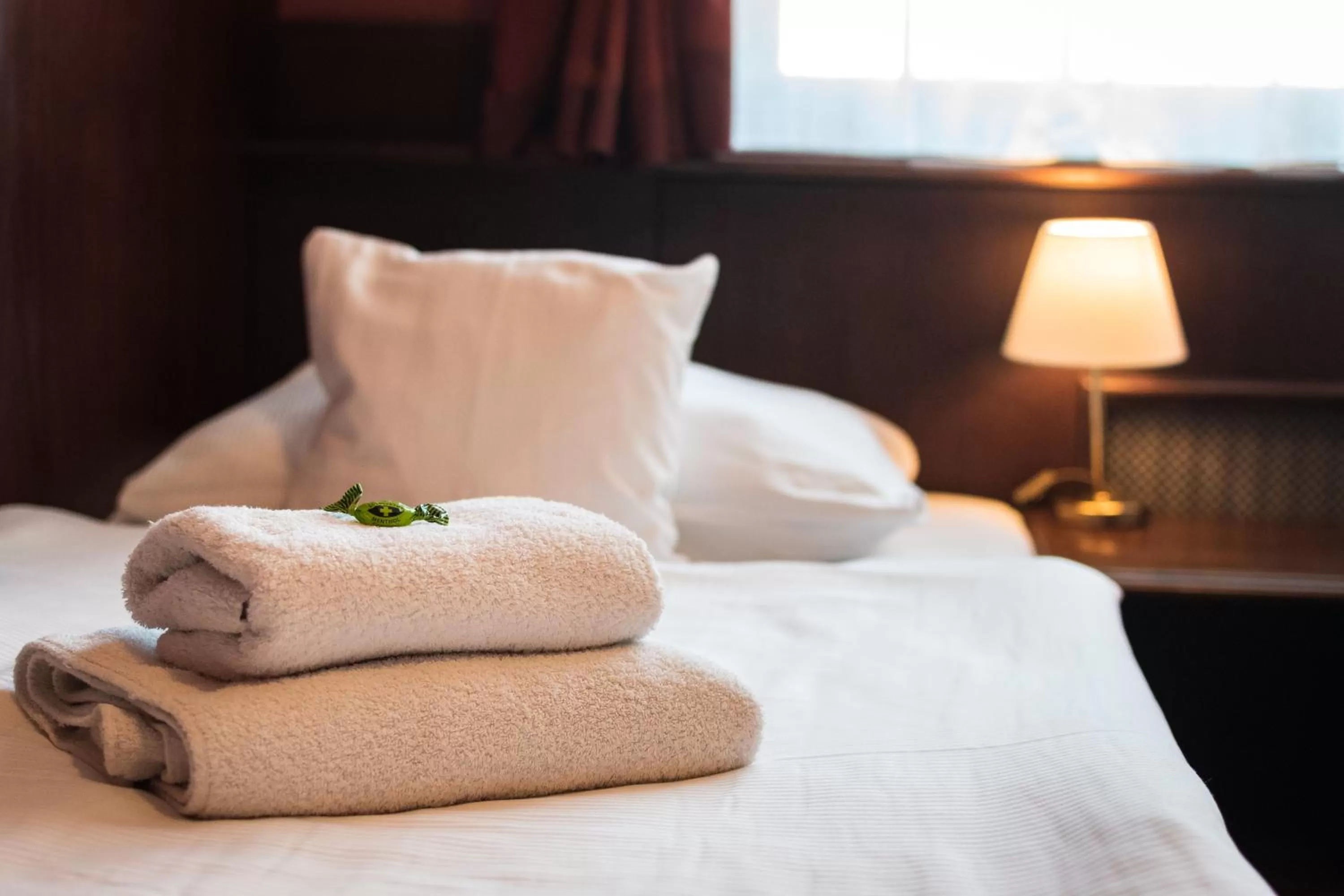 Bed in Hotel U Hejtmana Šarovce