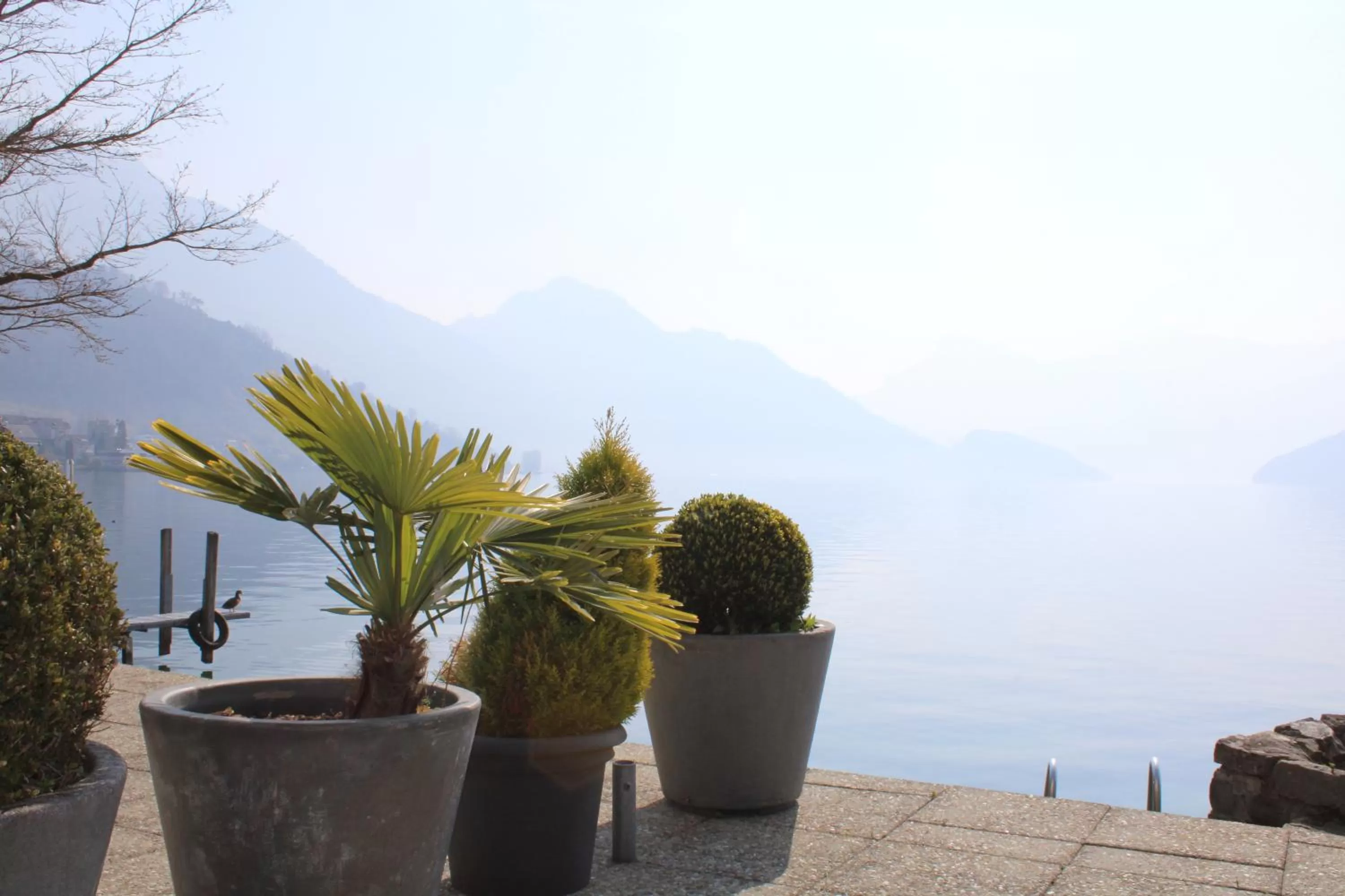 Garni-Hotel Frohburg - Beau Rivage Collection