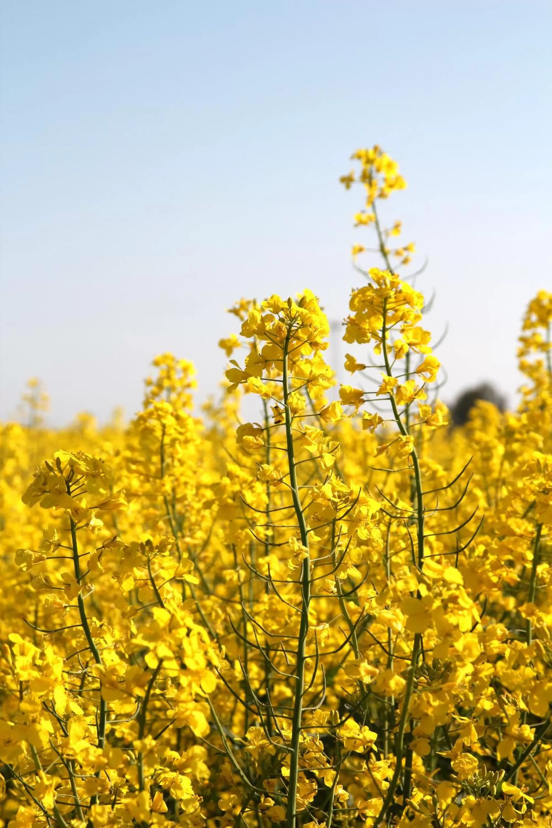 Property building in Avalon Hotel Bellevue