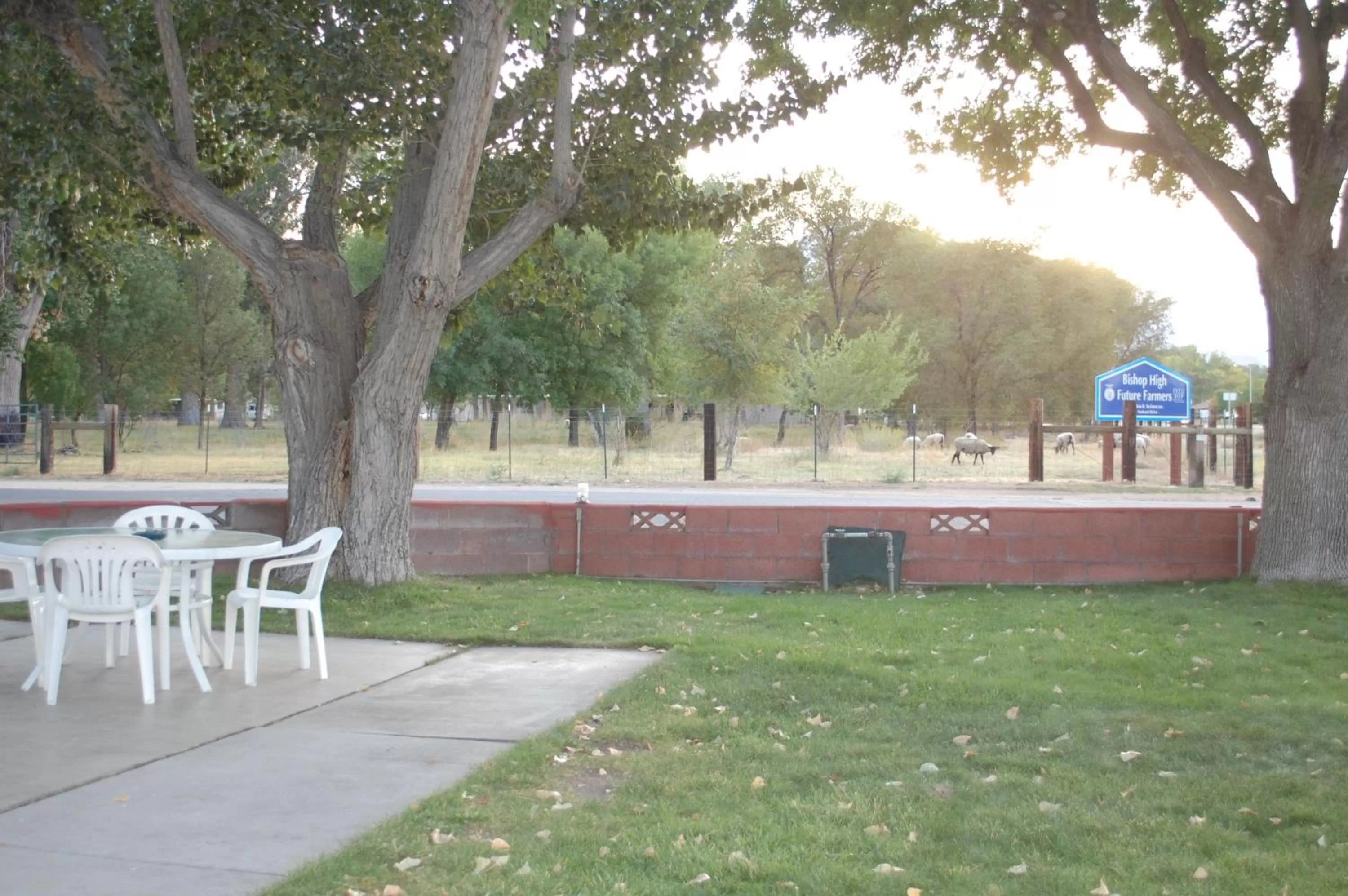 Balcony/Terrace in Trees Motel
