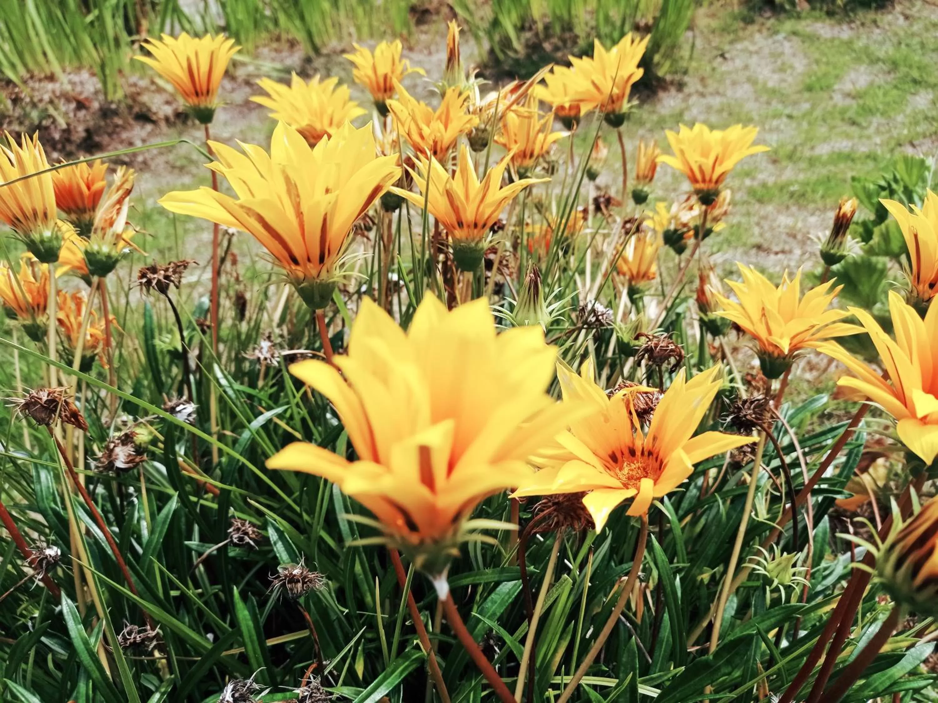 Hotel Refugio Pozo Azul