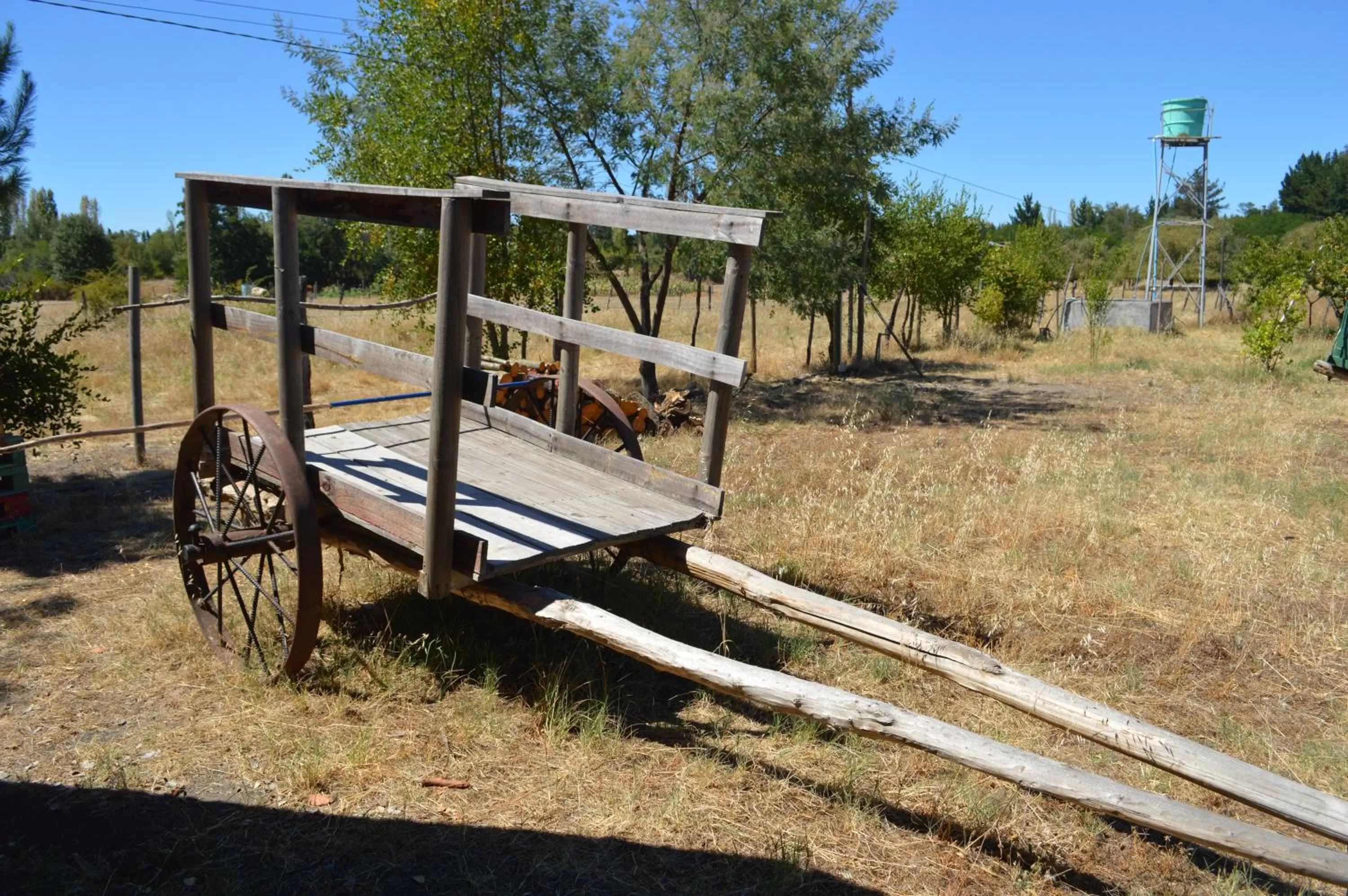 Coyunche Cabañas y Camping Laja & San Rosendo