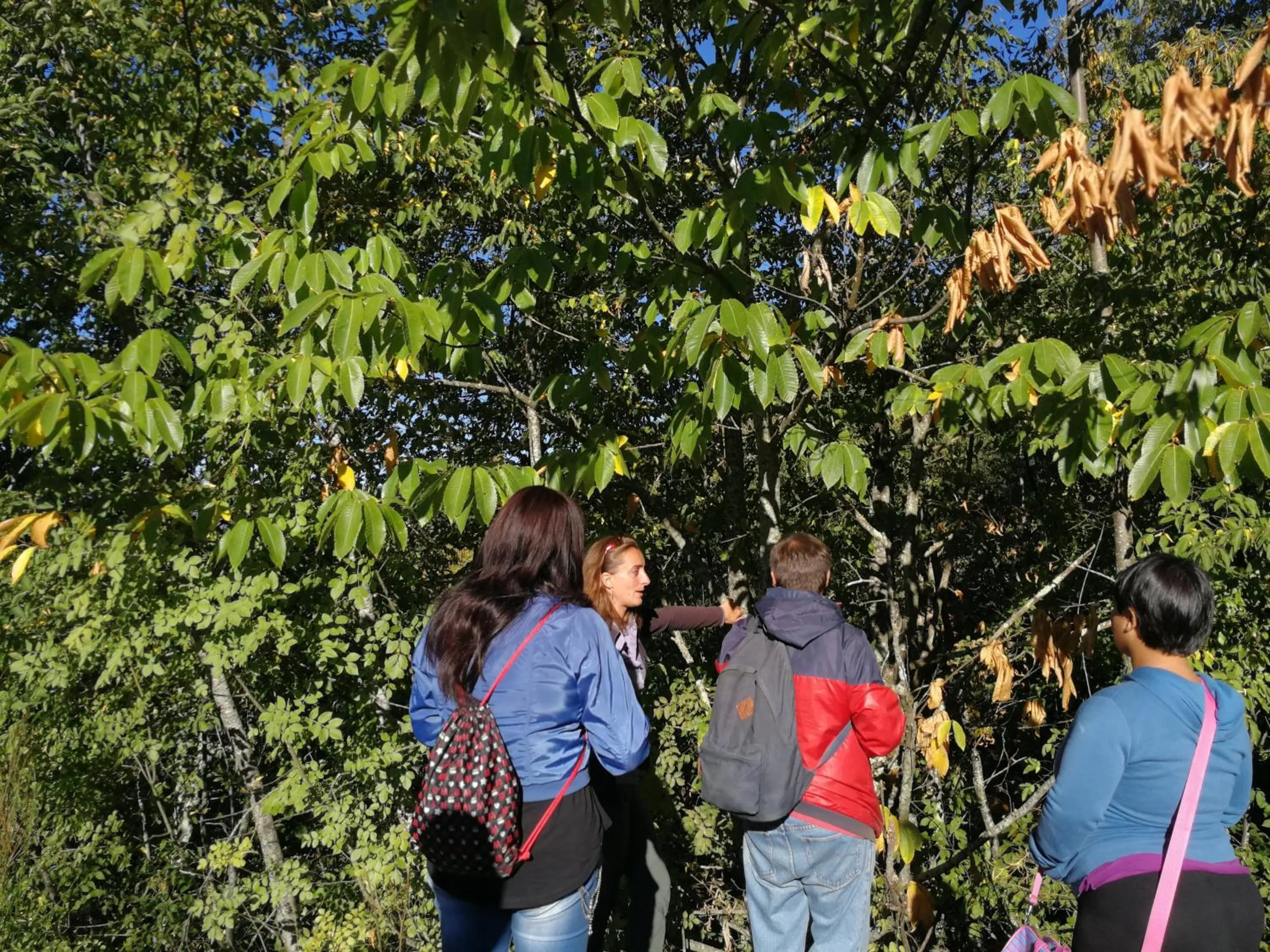 Hiking in Il Ciocco Hotels
