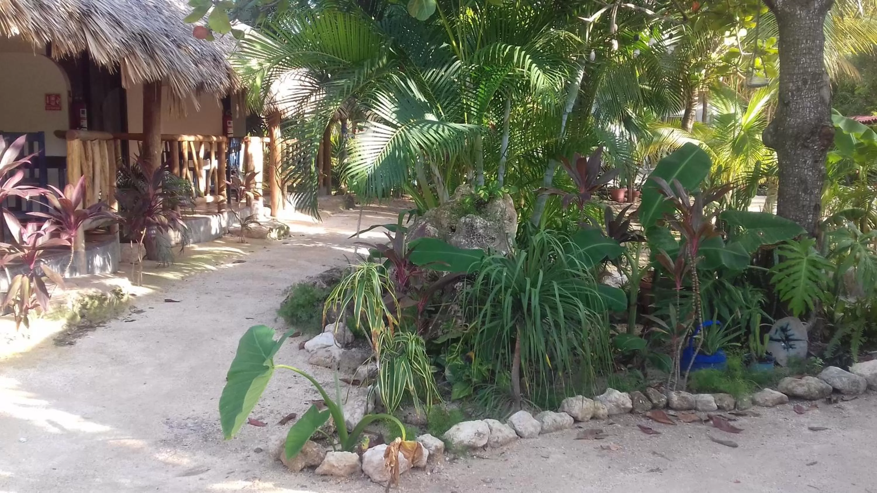 Garden in Zamunda Garden View