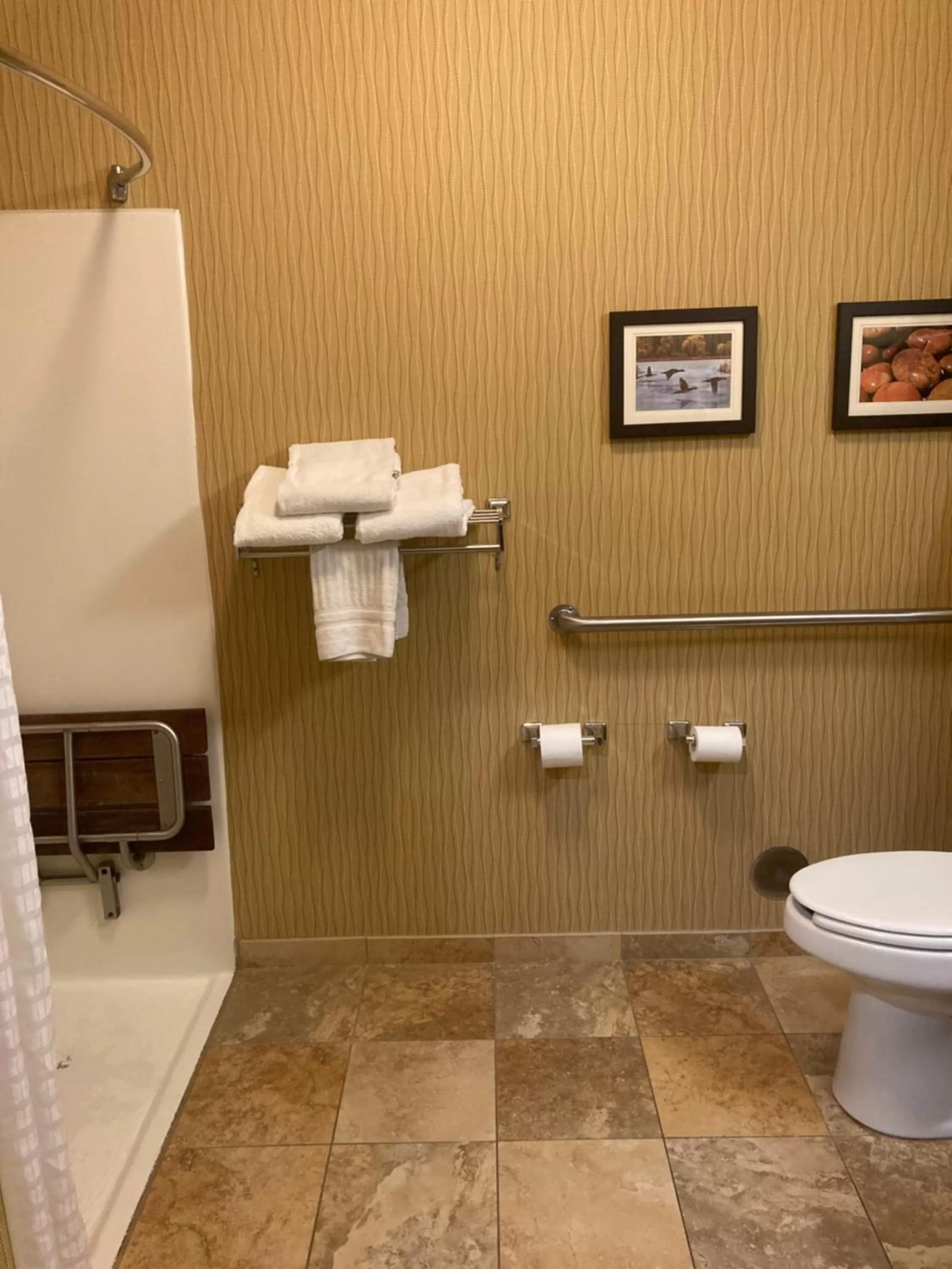 Bathroom in Comfort Inn Wings Stadium