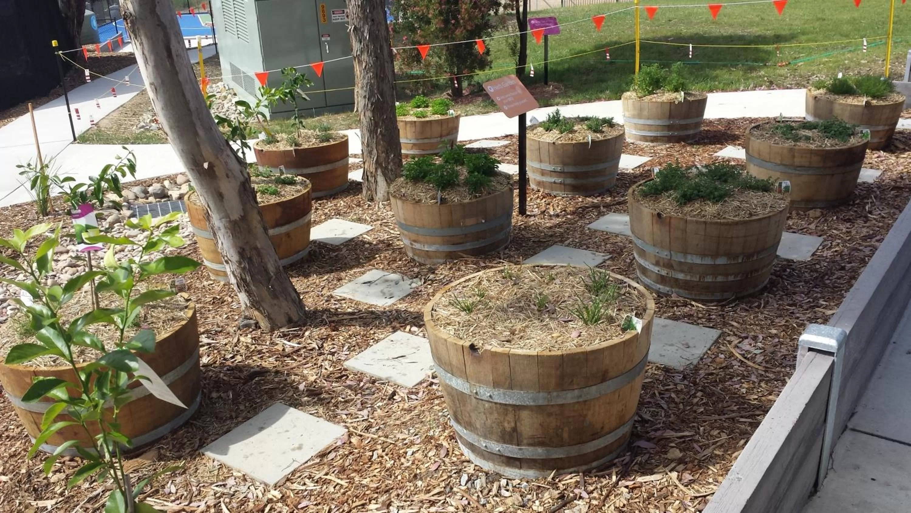 Area and facilities in Alivio Tourist Park Canberra