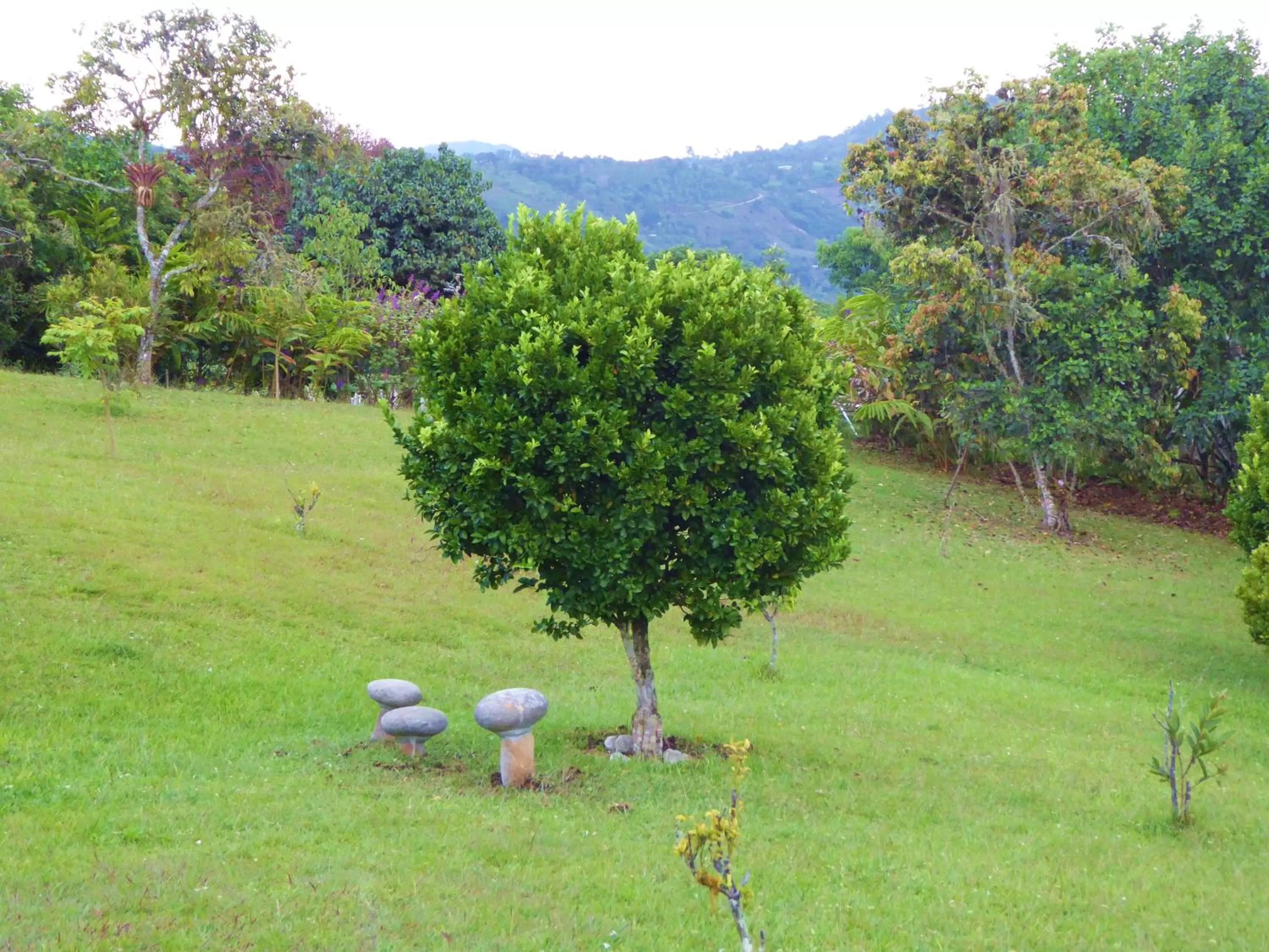 Garden in Finca El Cielo