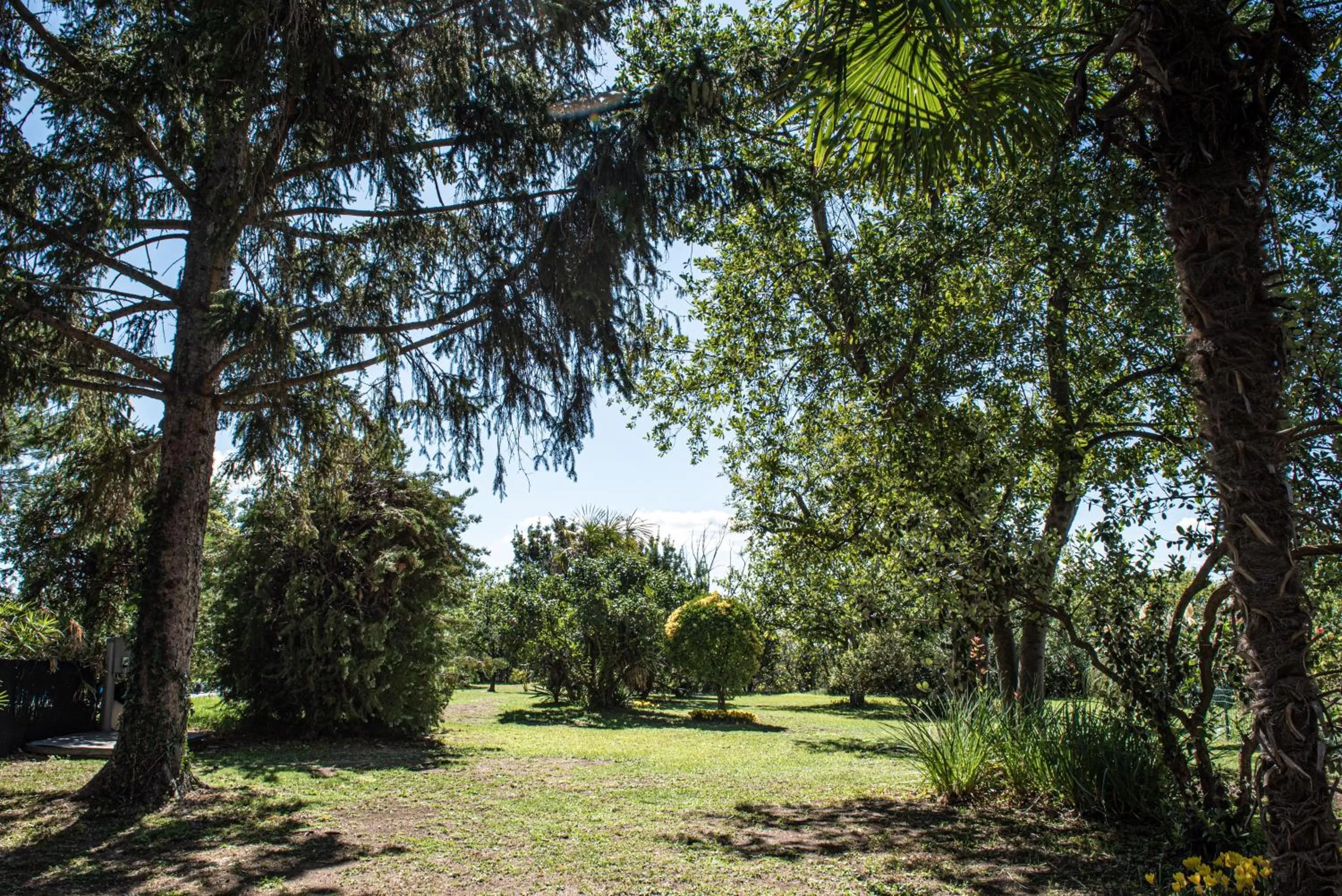 Property building, Garden in Terre Etrusche Guest House