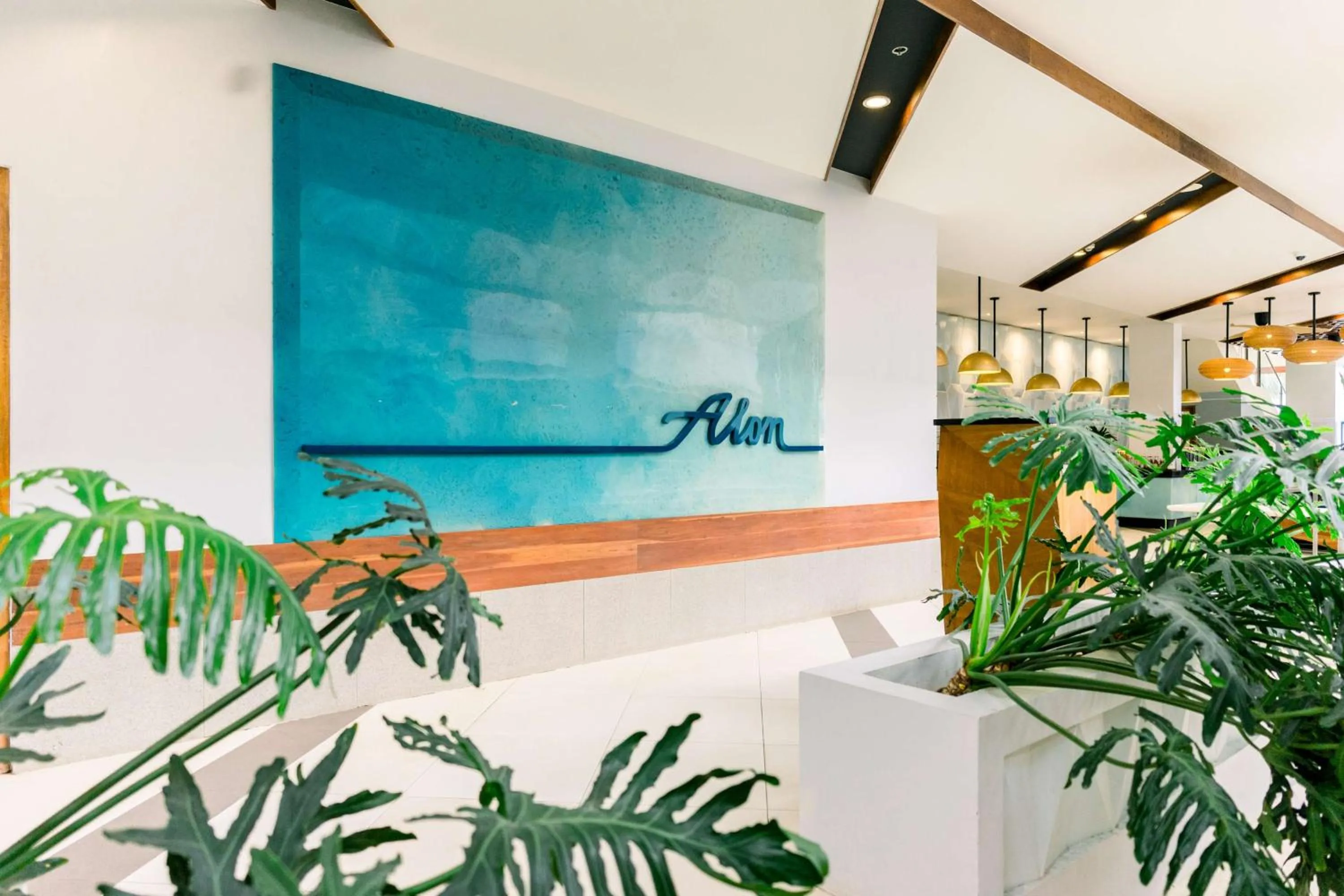 Restaurant/places to eat in Best Western Plus The Ivywall Resort-Panglao