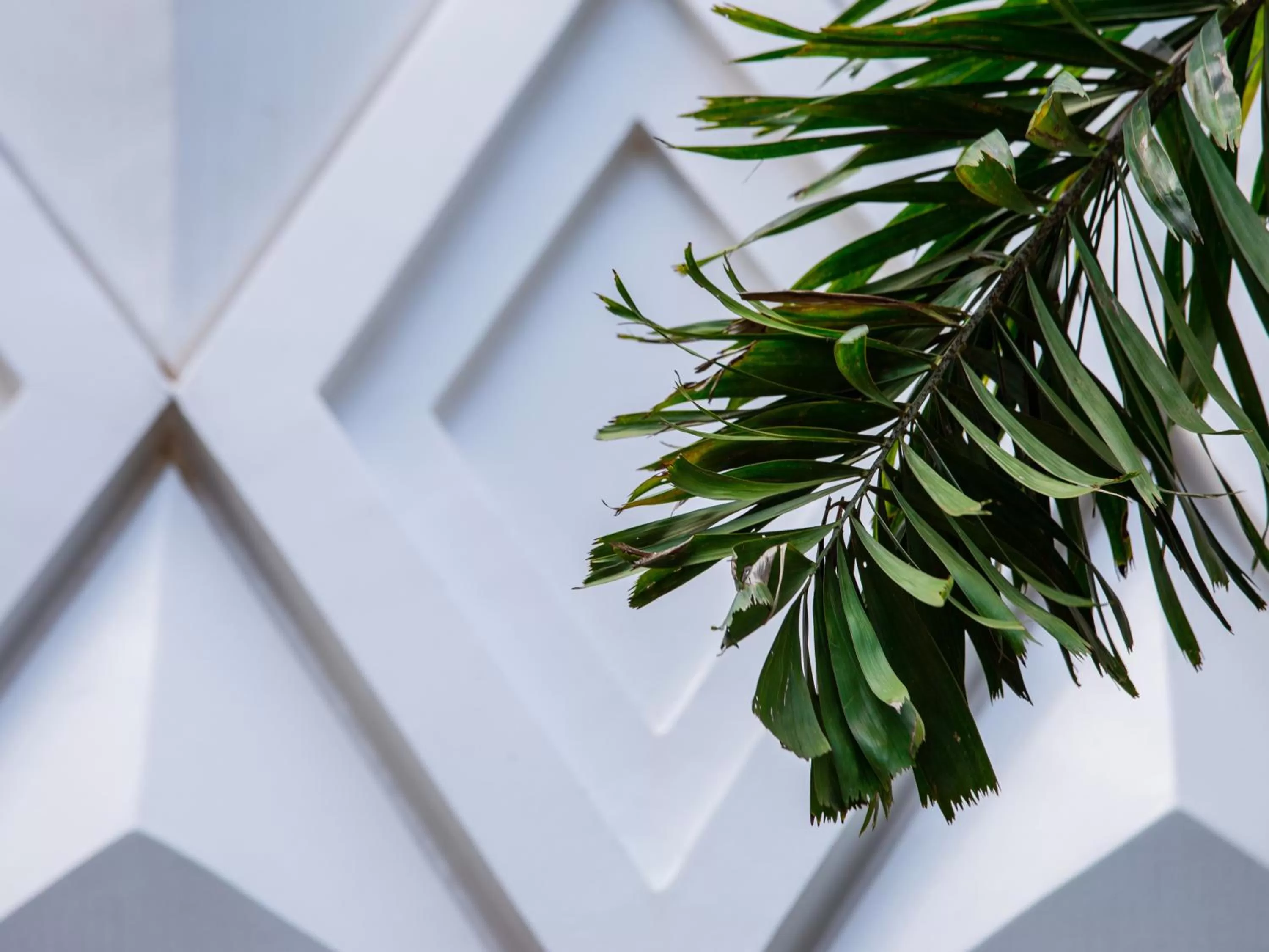 Property building in Homewood Hotel