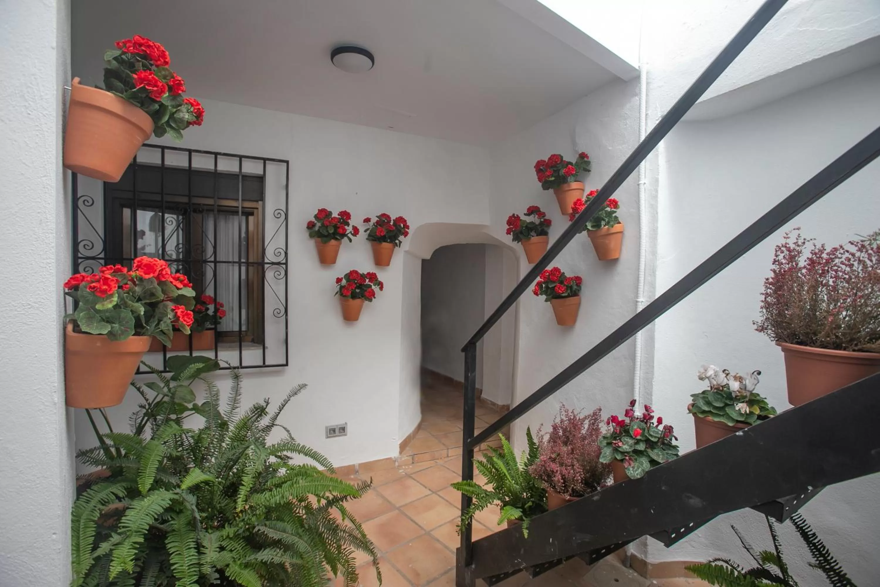 Patio in Vitium Córdoba