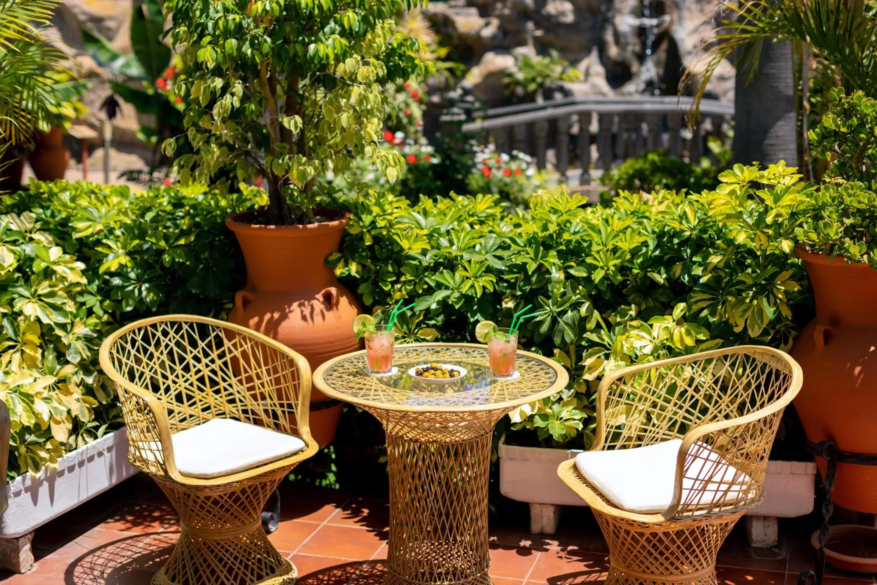 Garden in Hotel Don Manolito