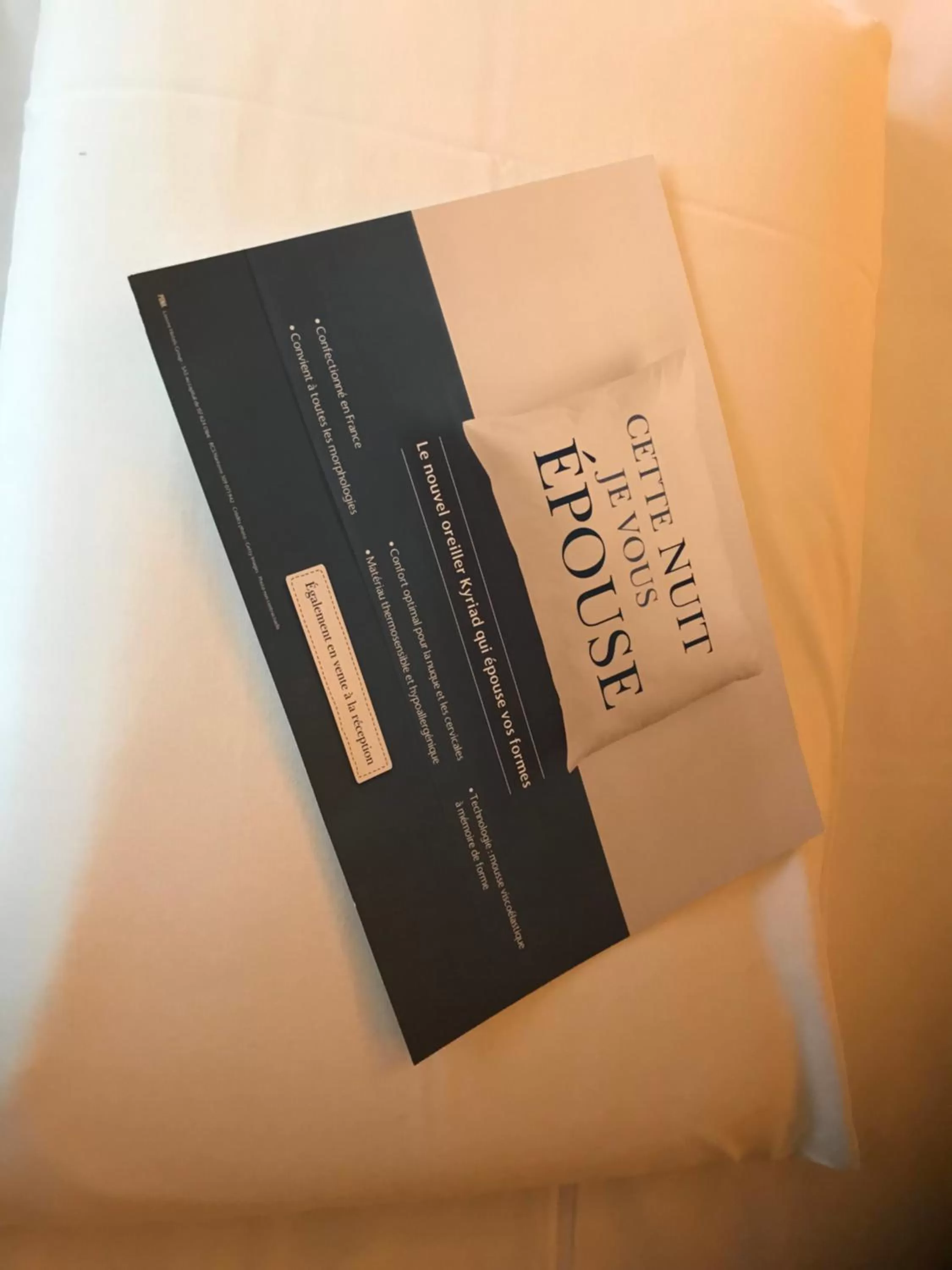 Area and facilities in Kyriad Tarbes Odos